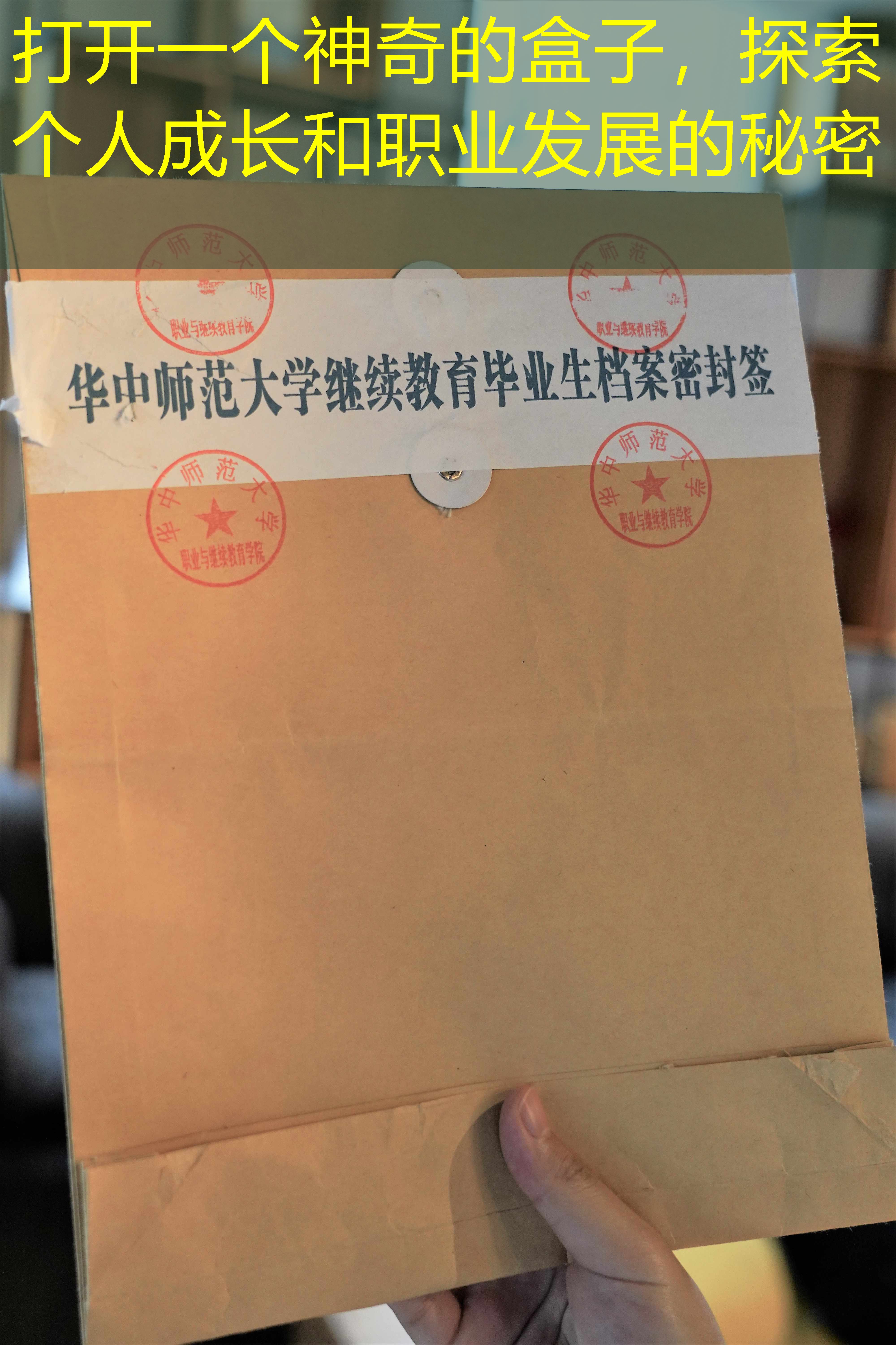 档案查询