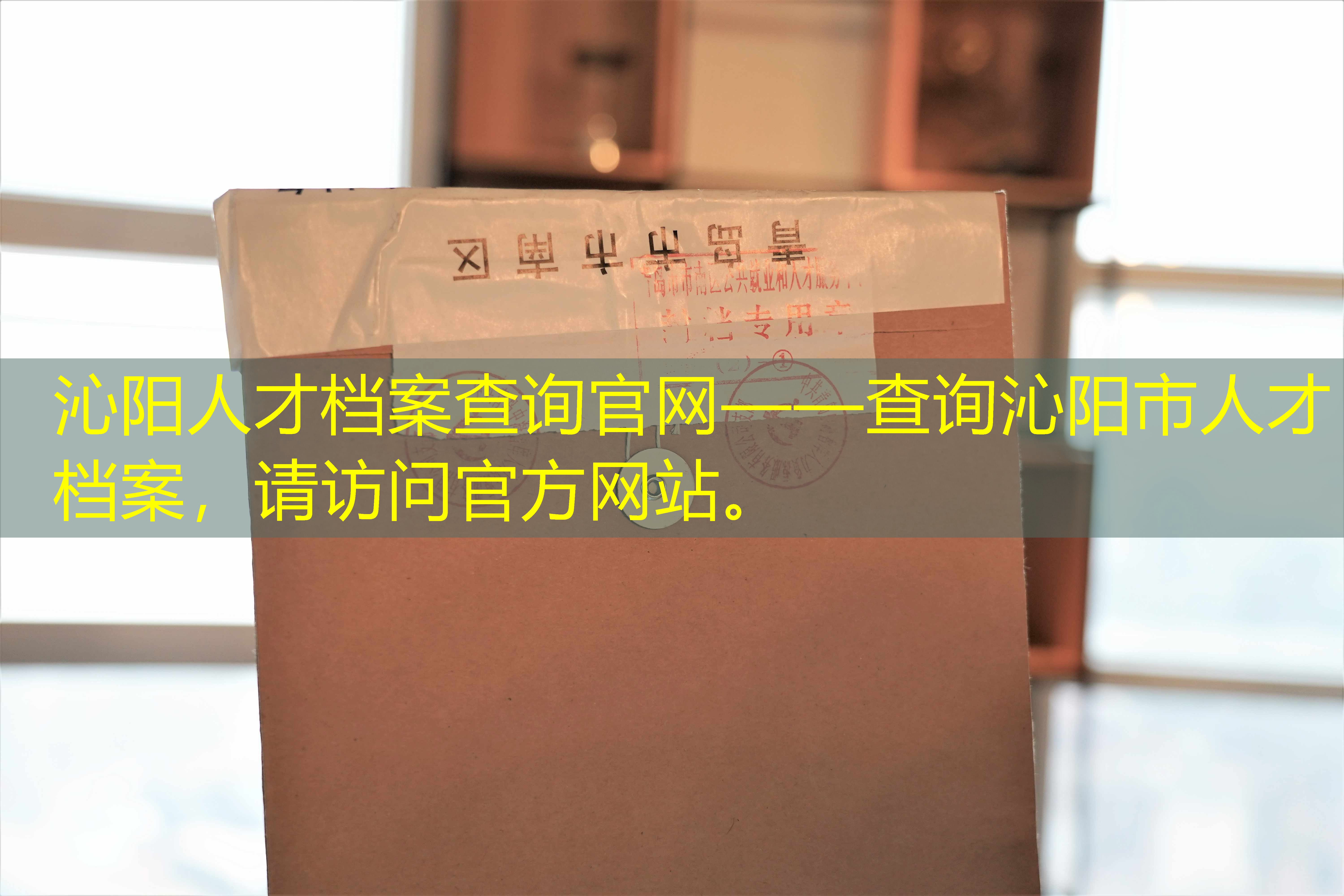 档案查询