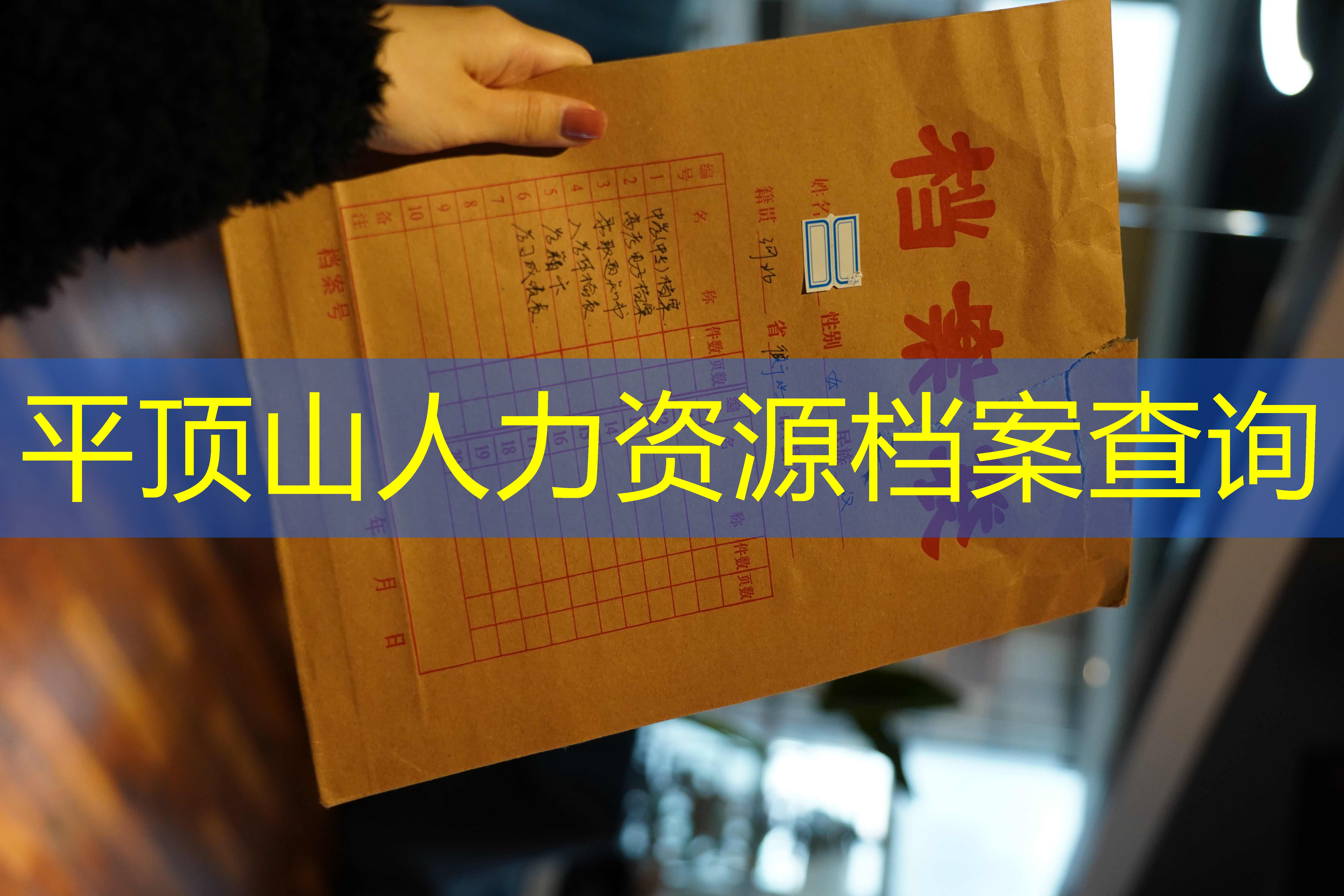 档案查询