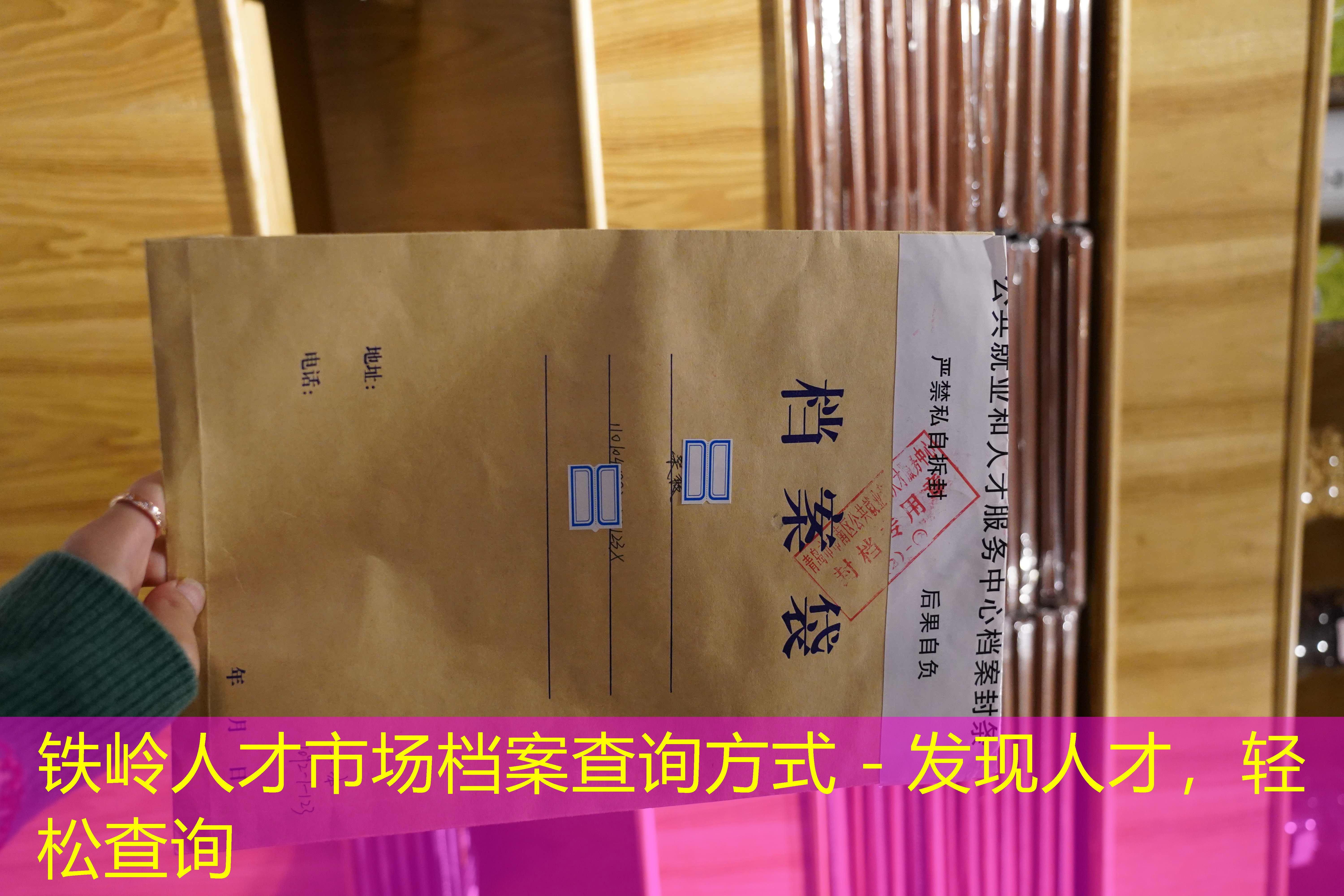 档案查询