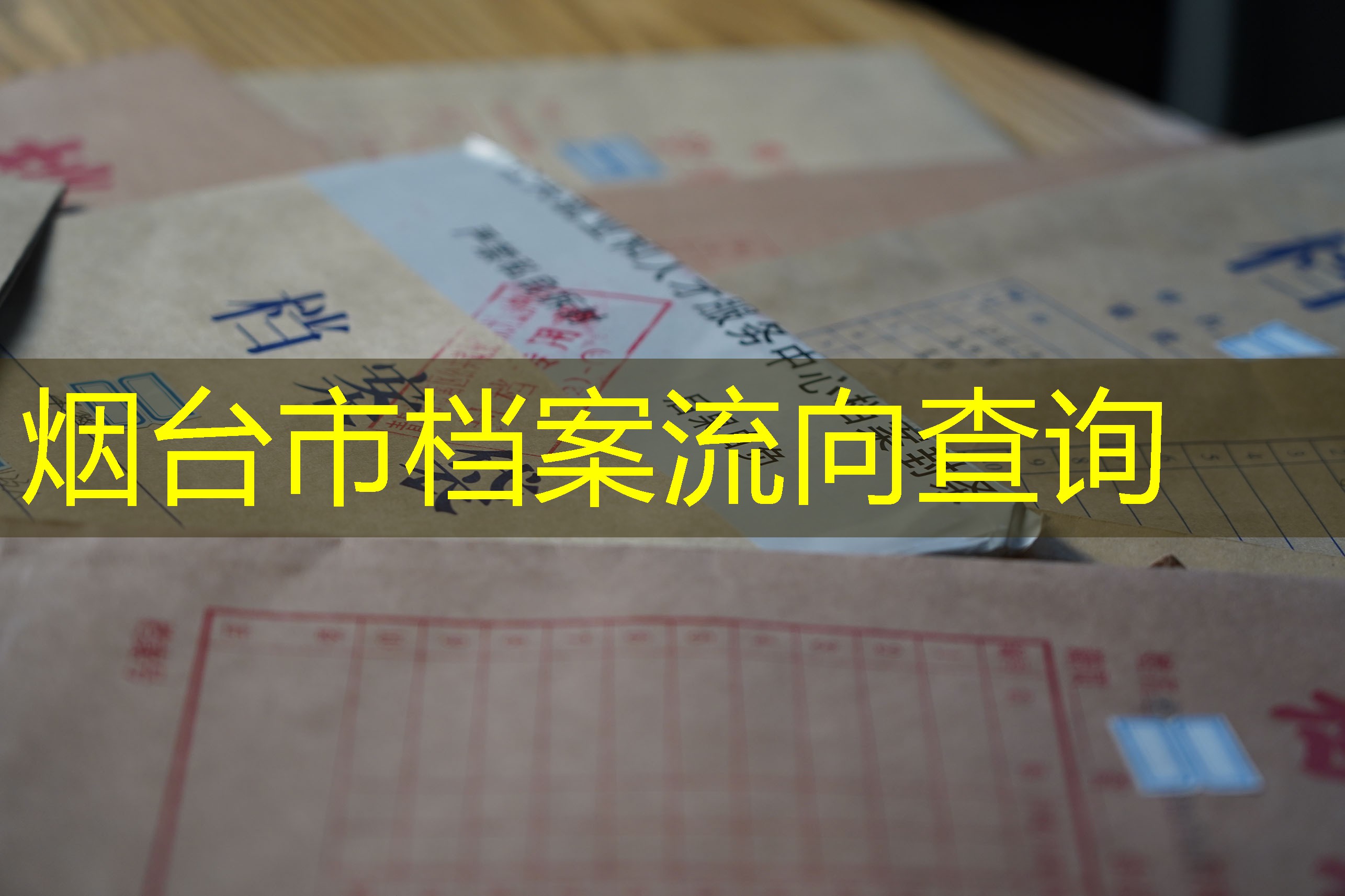 档案查询