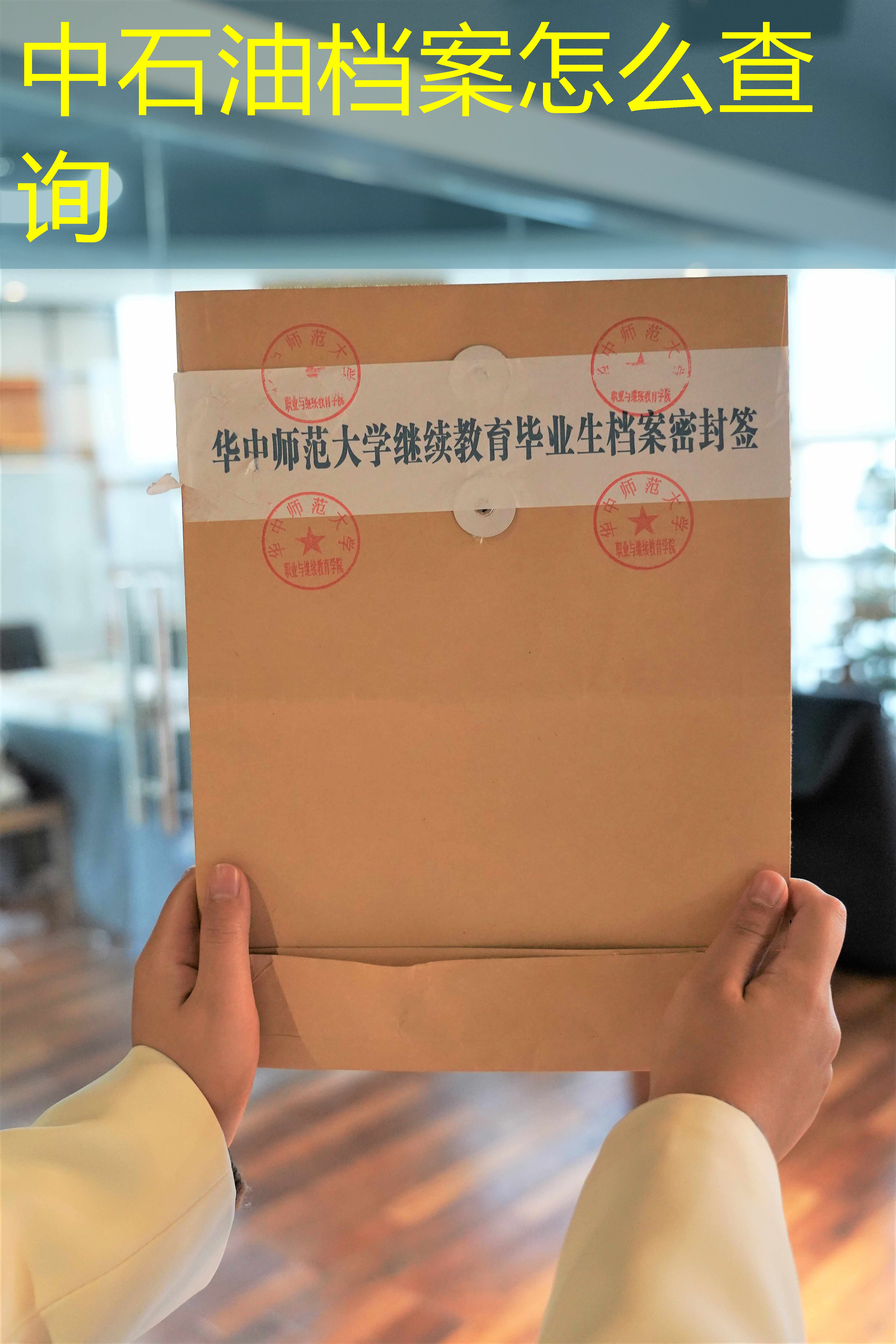 档案查询