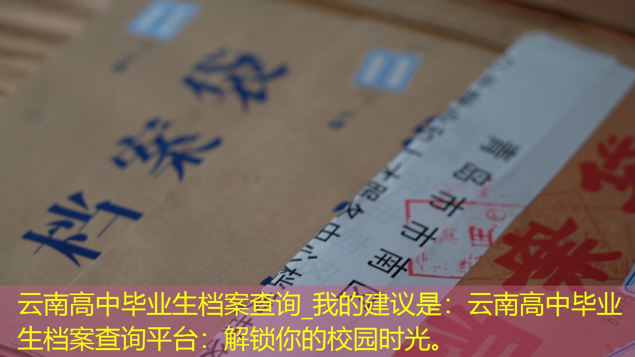档案查询