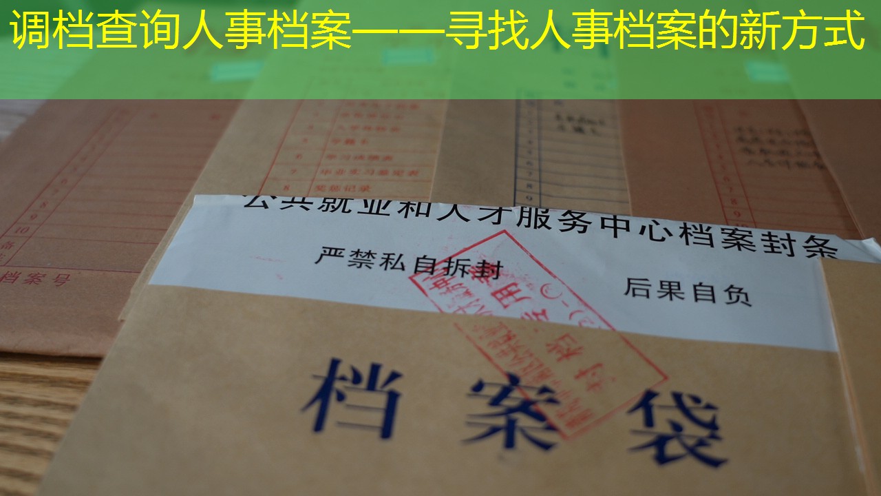 档案查询