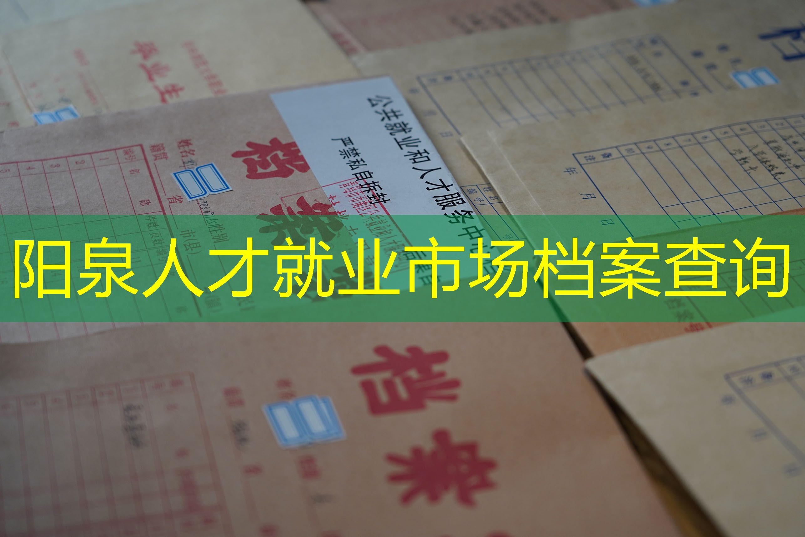 档案查询