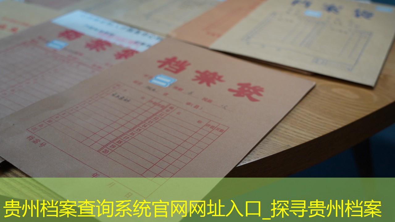档案查询