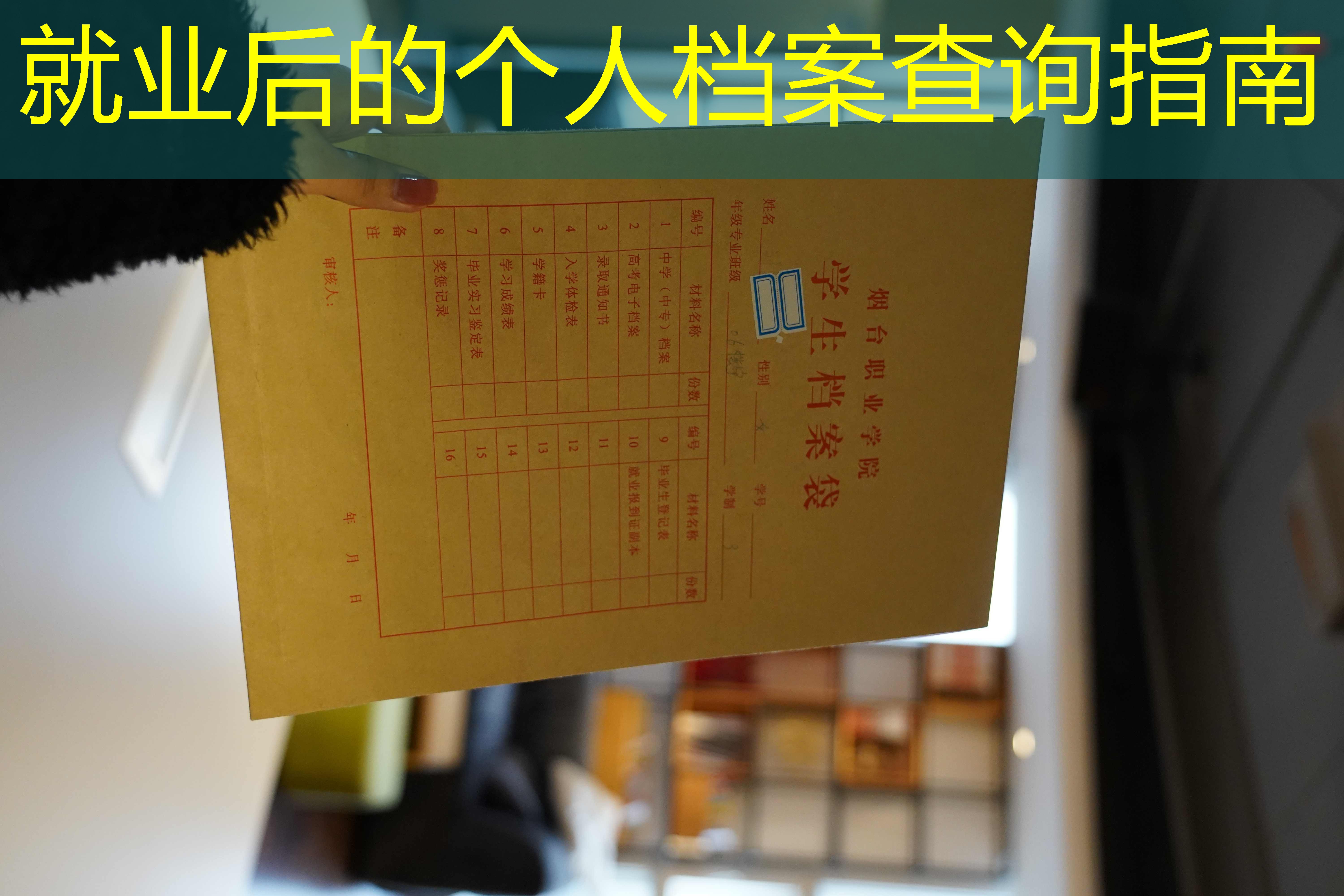 档案查询