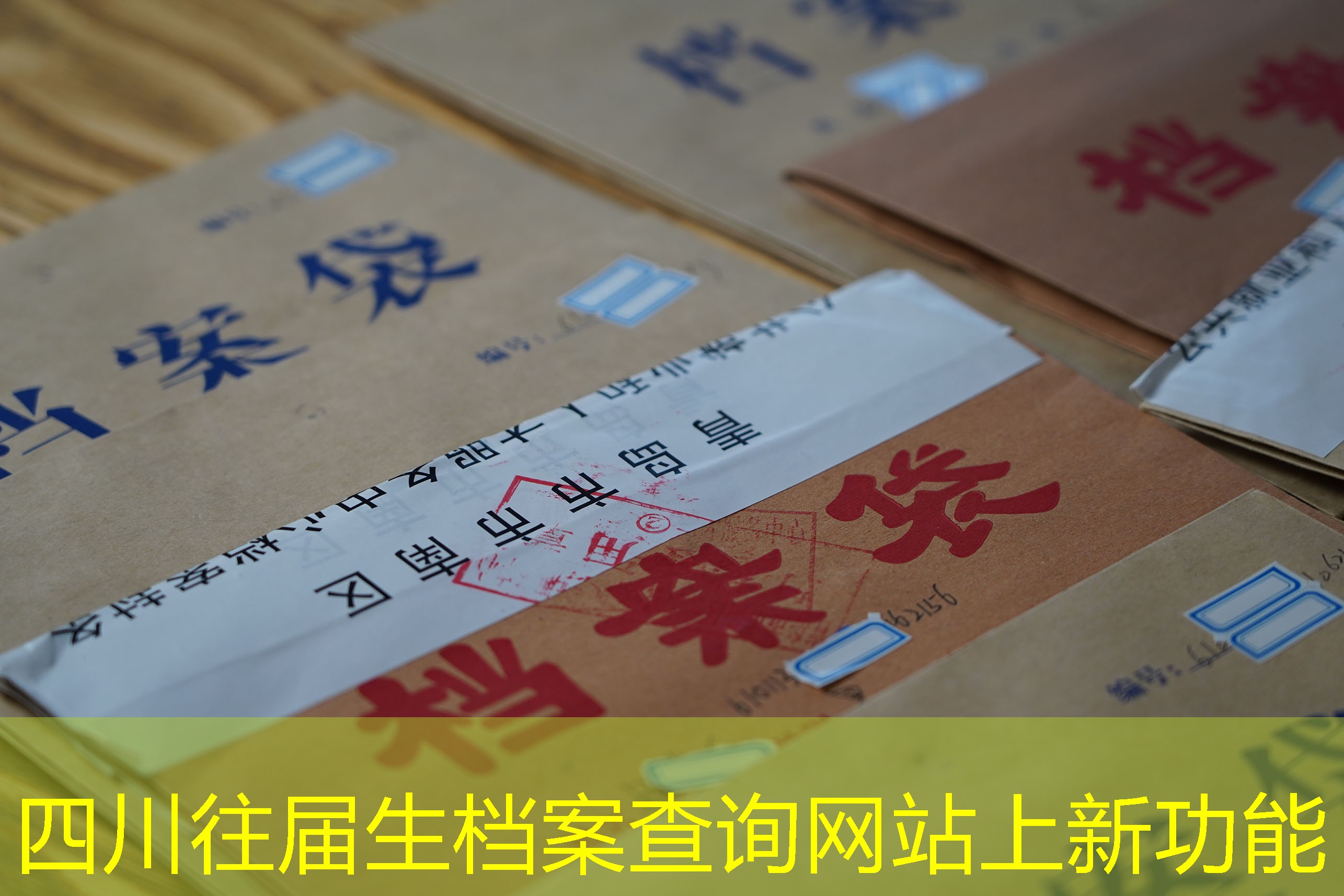 档案查询