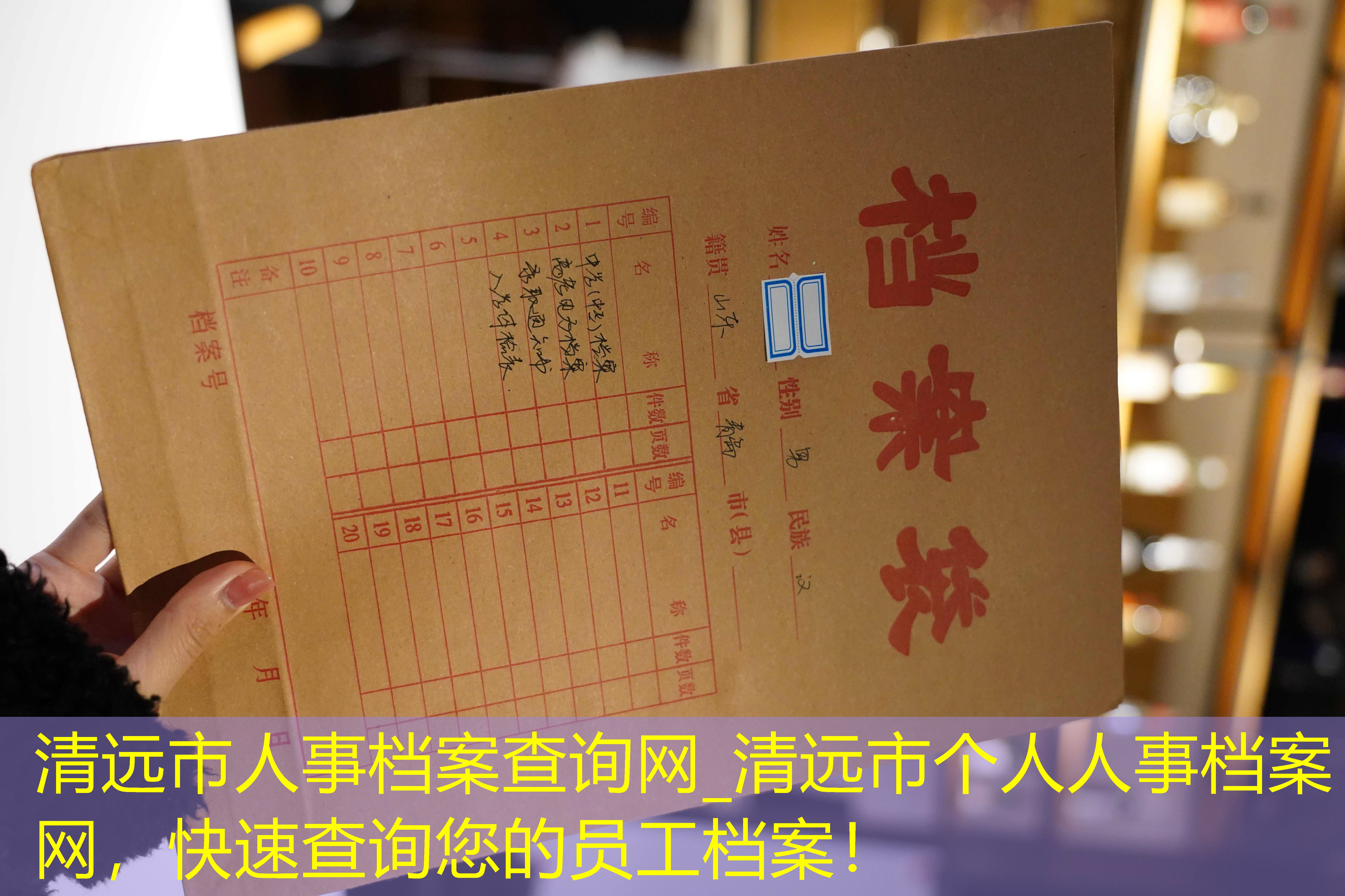 档案查询