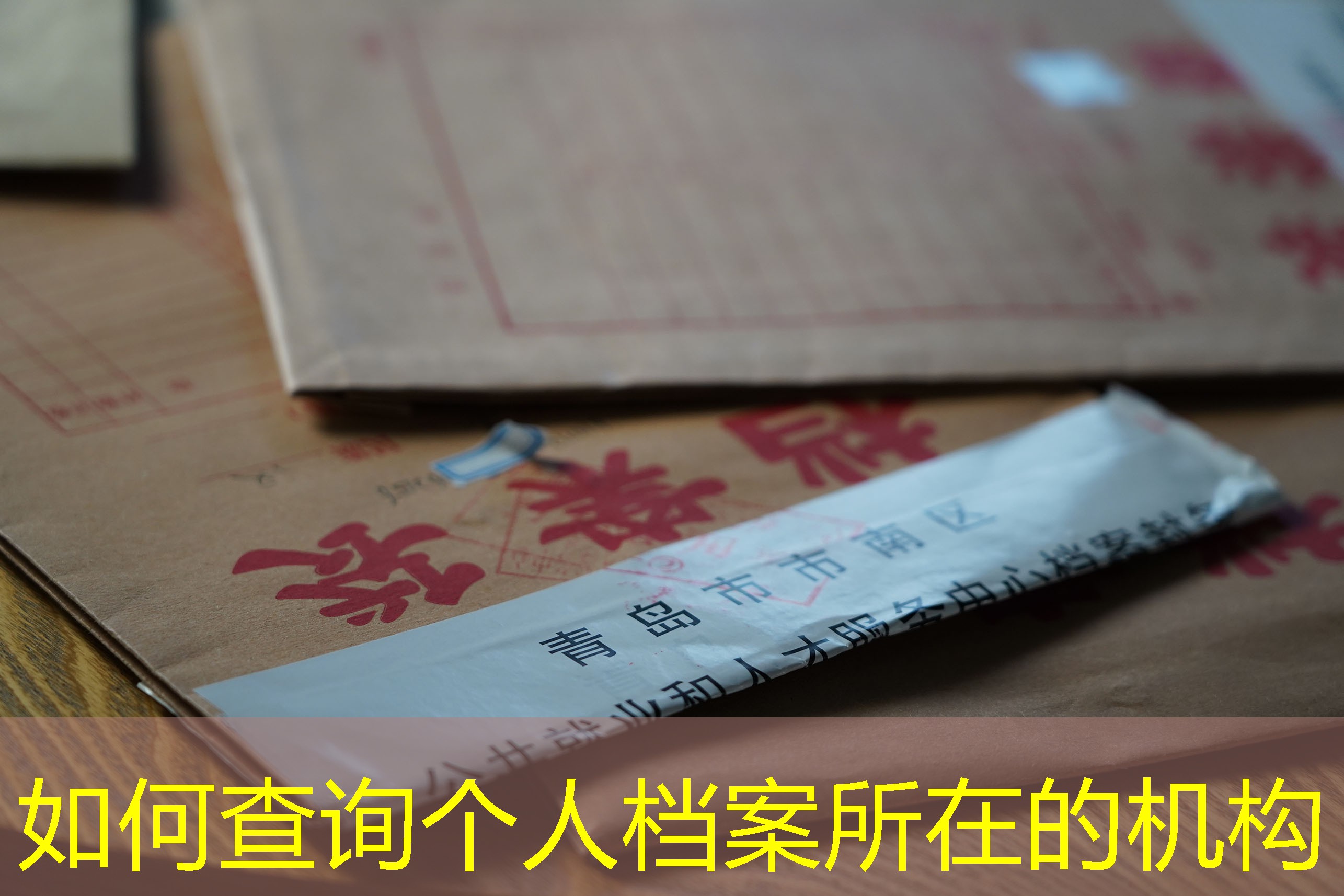 档案查询