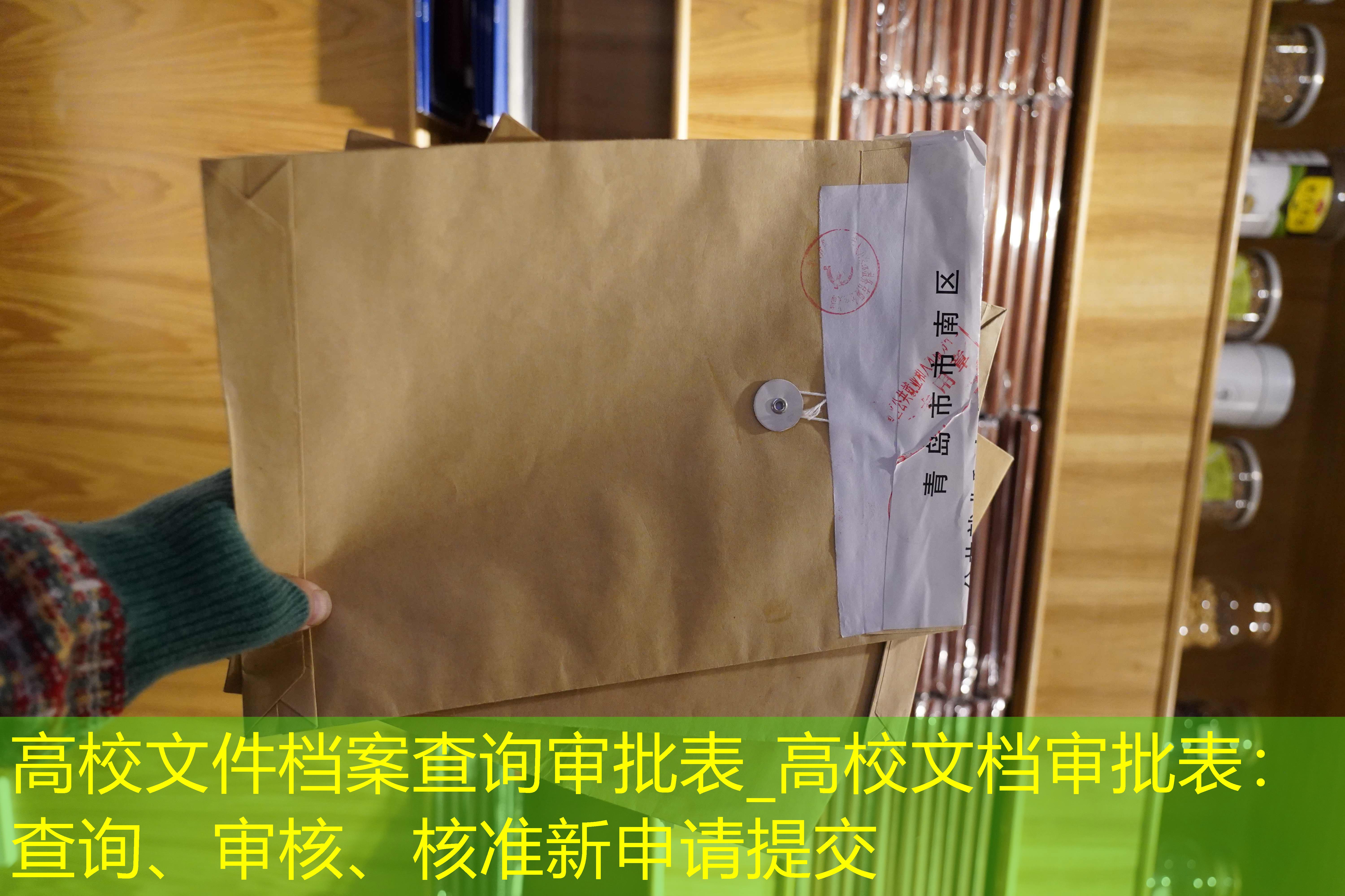 档案查询