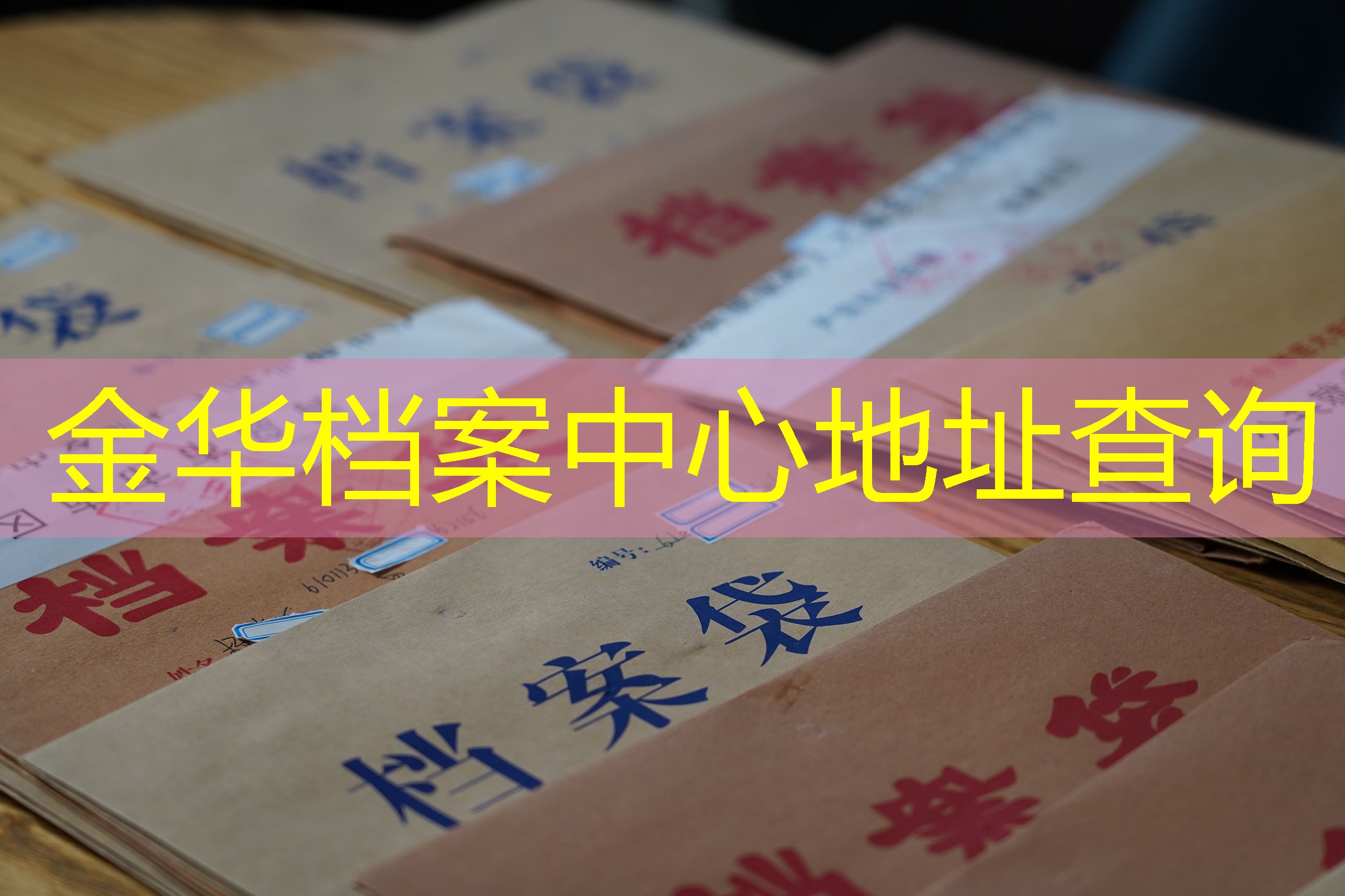 档案查询