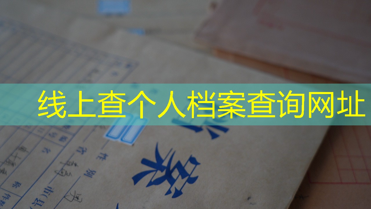 档案查询