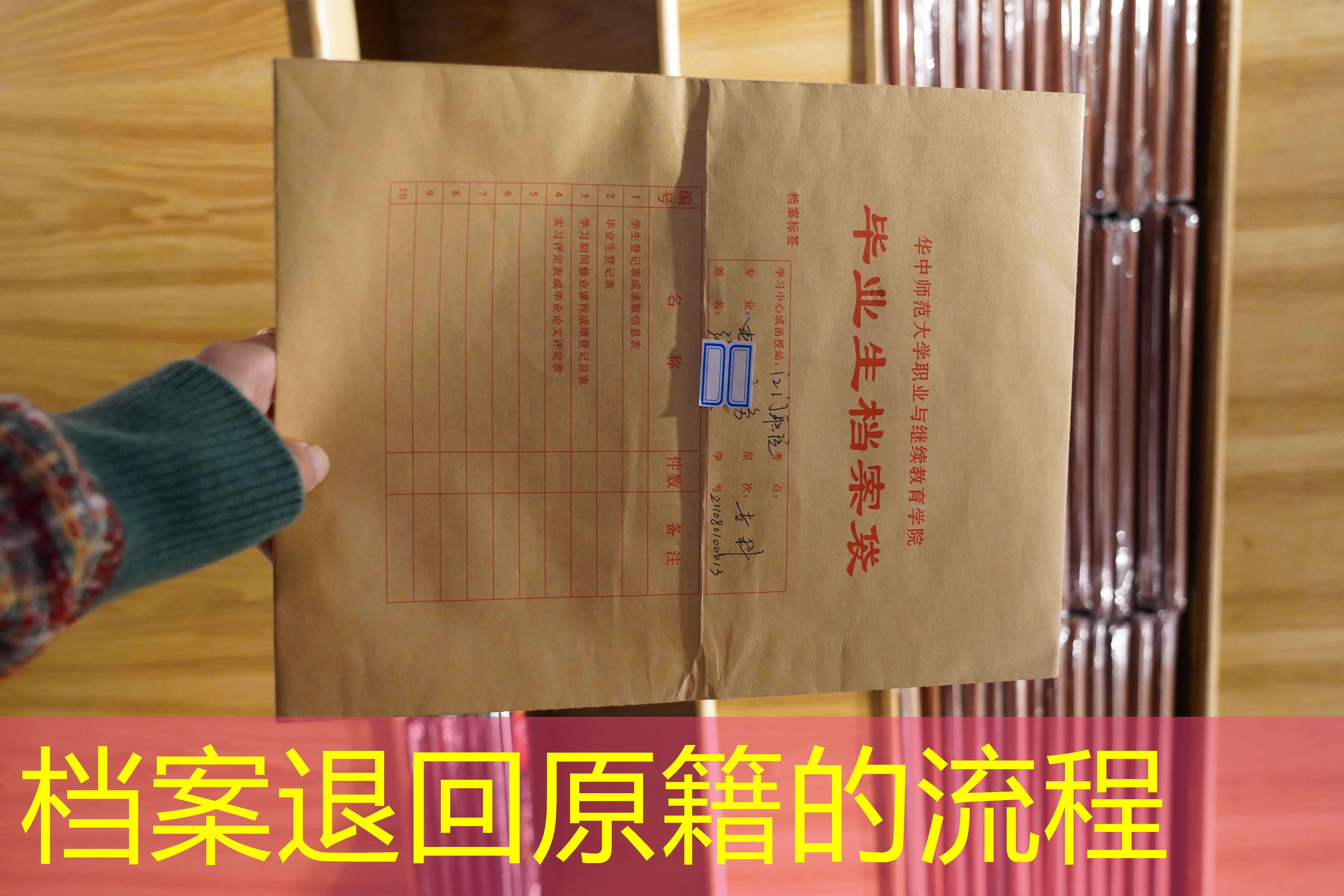 档案查询