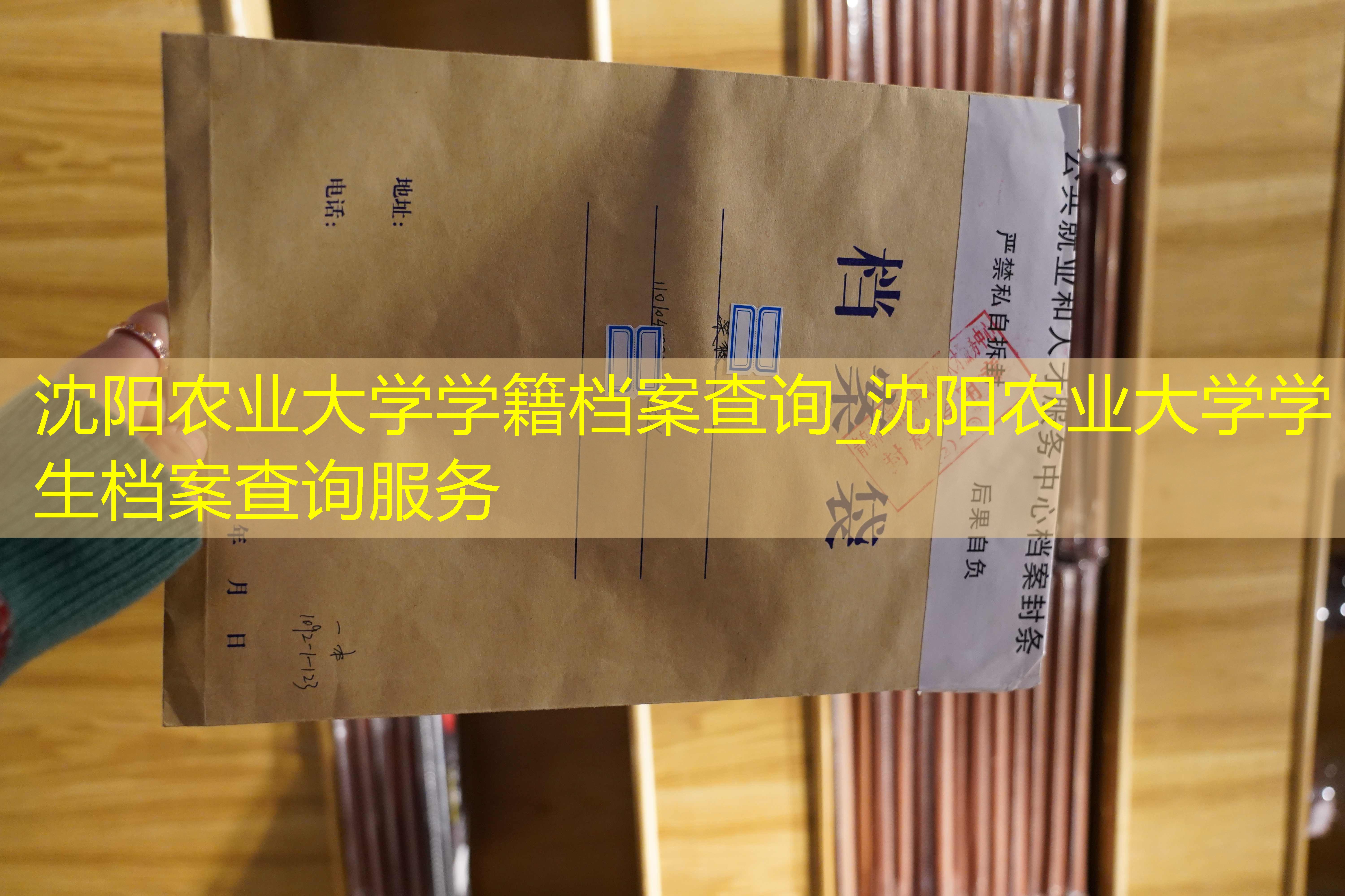 档案查询
