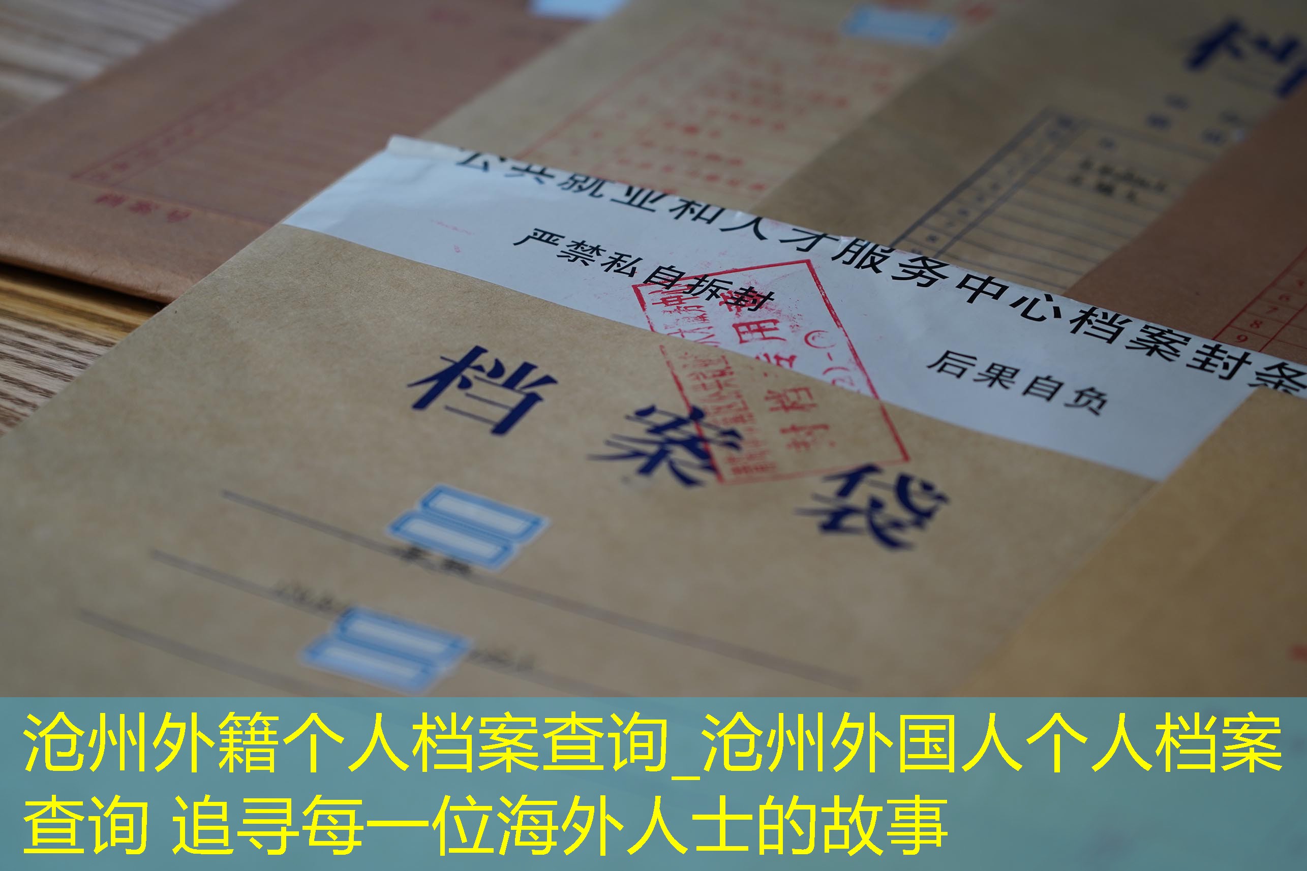 档案查询