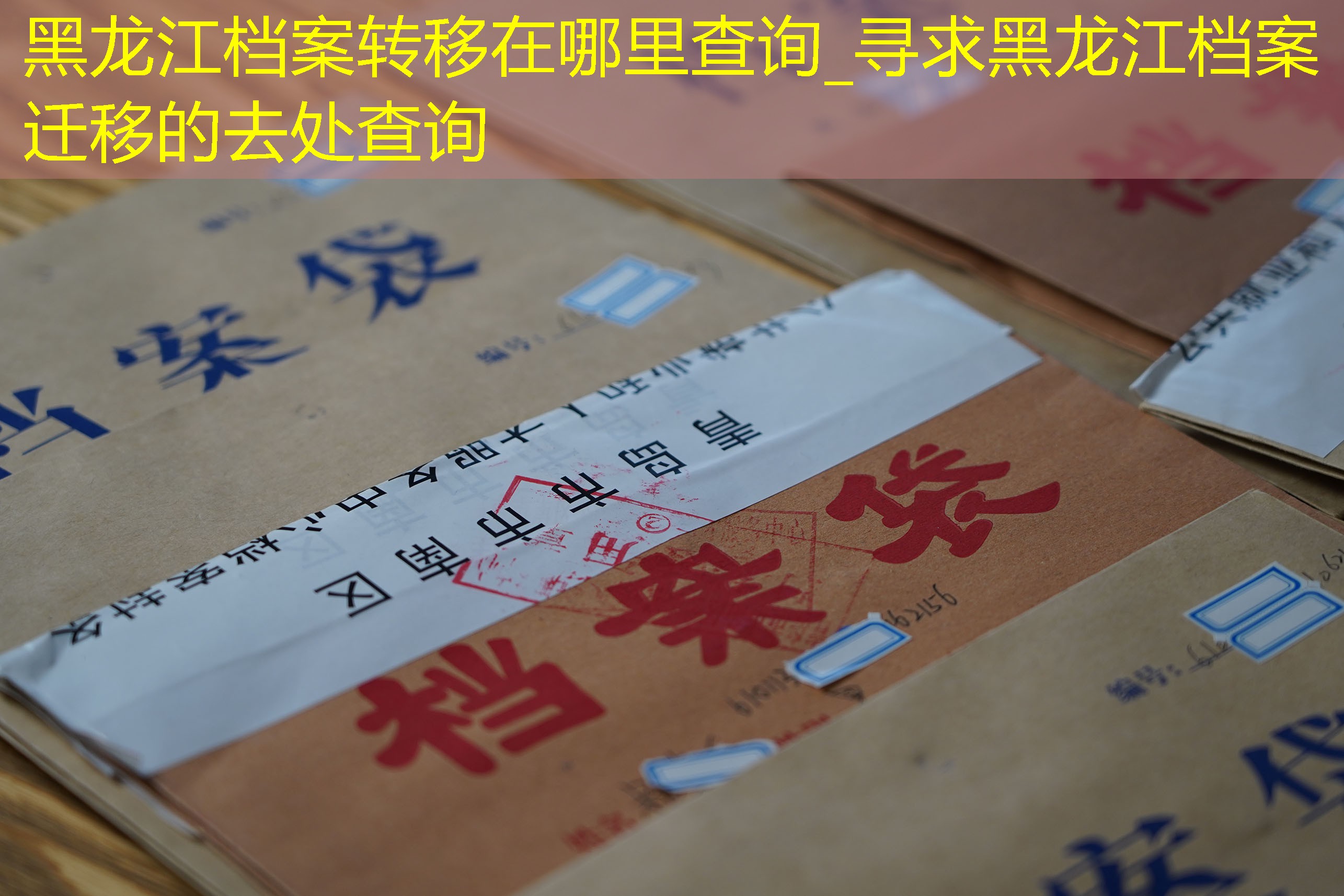 档案查询
