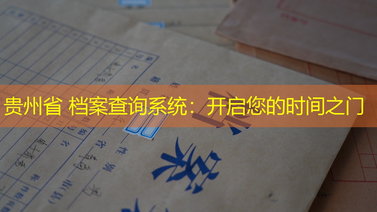 档案查询