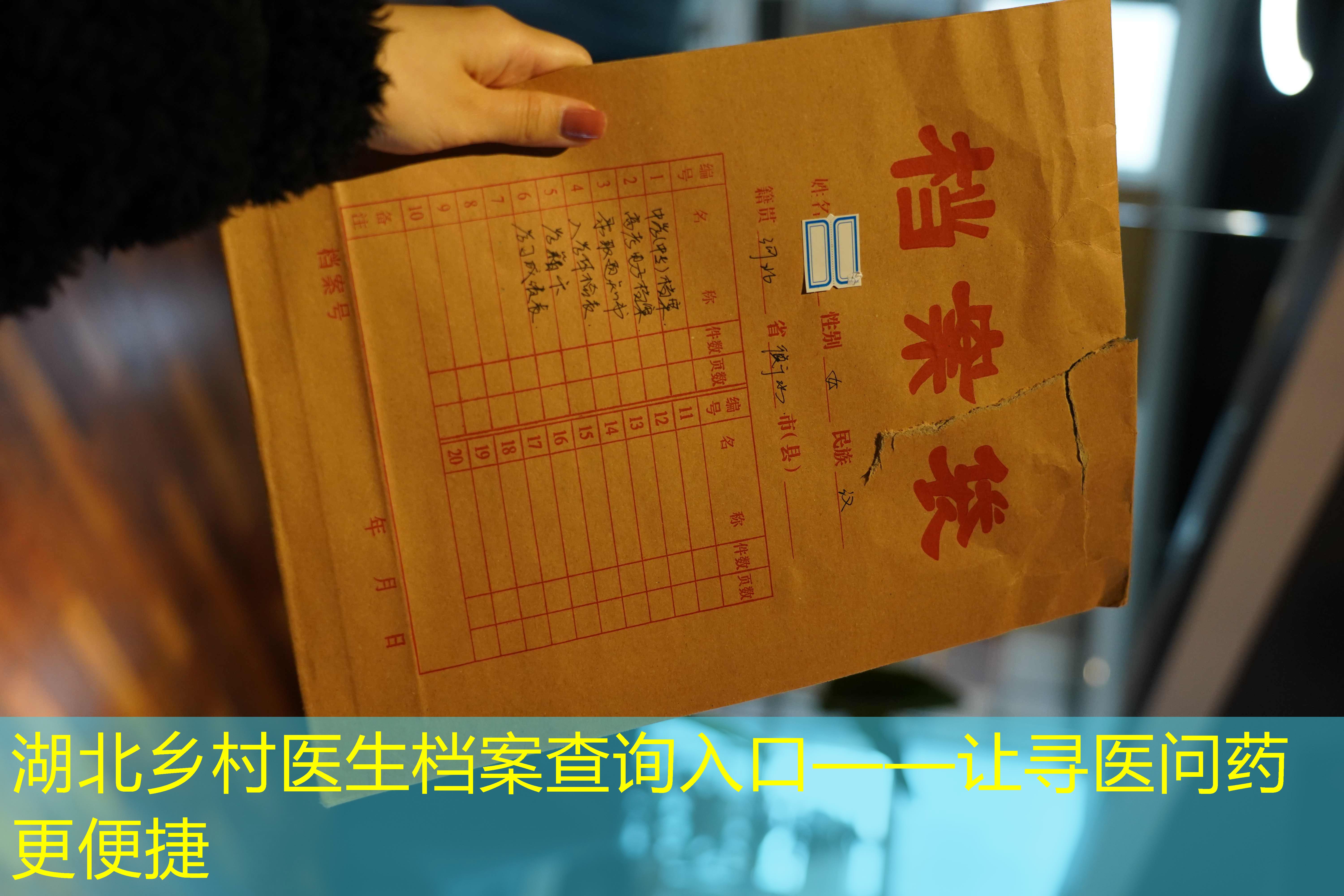 档案查询