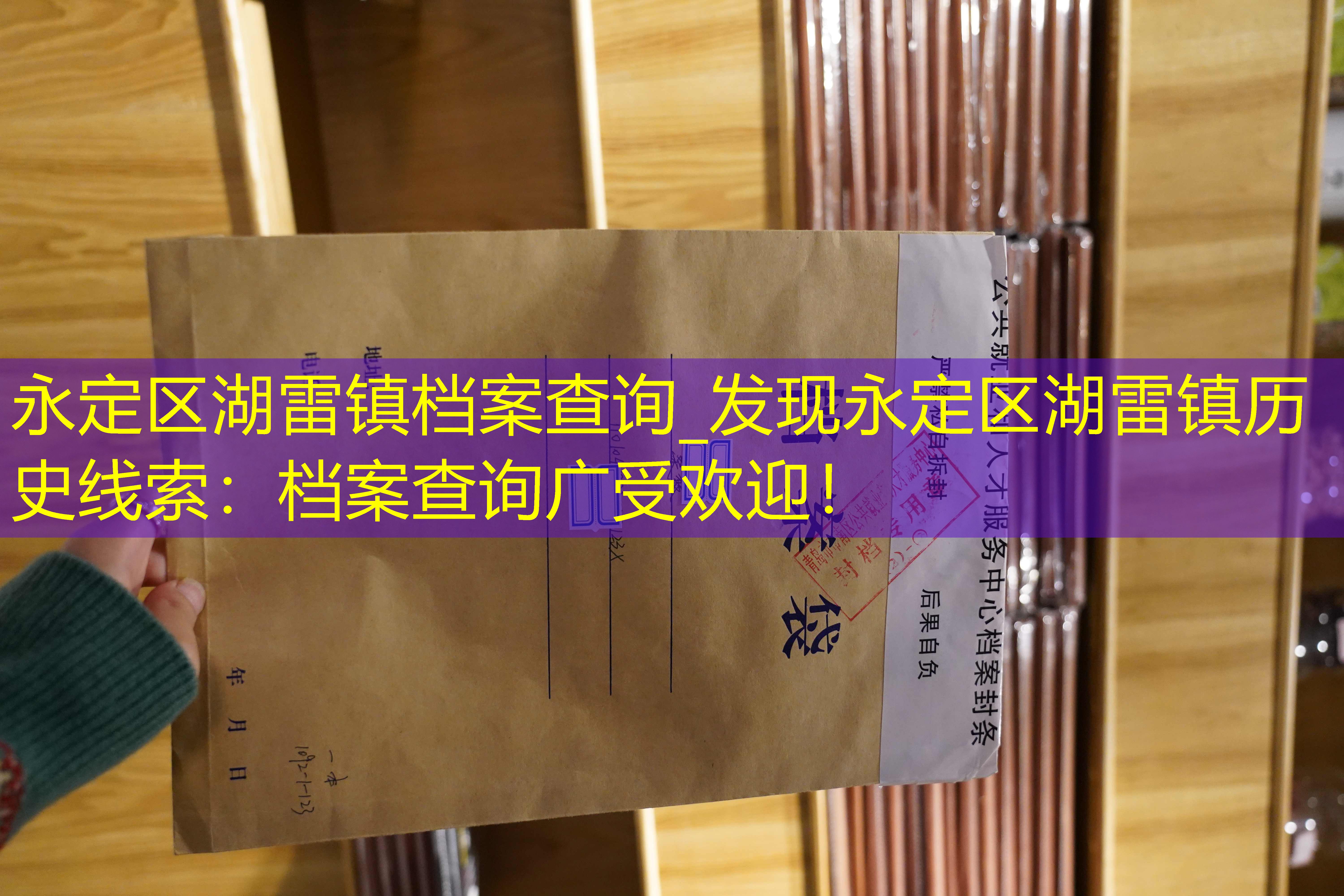 档案查询