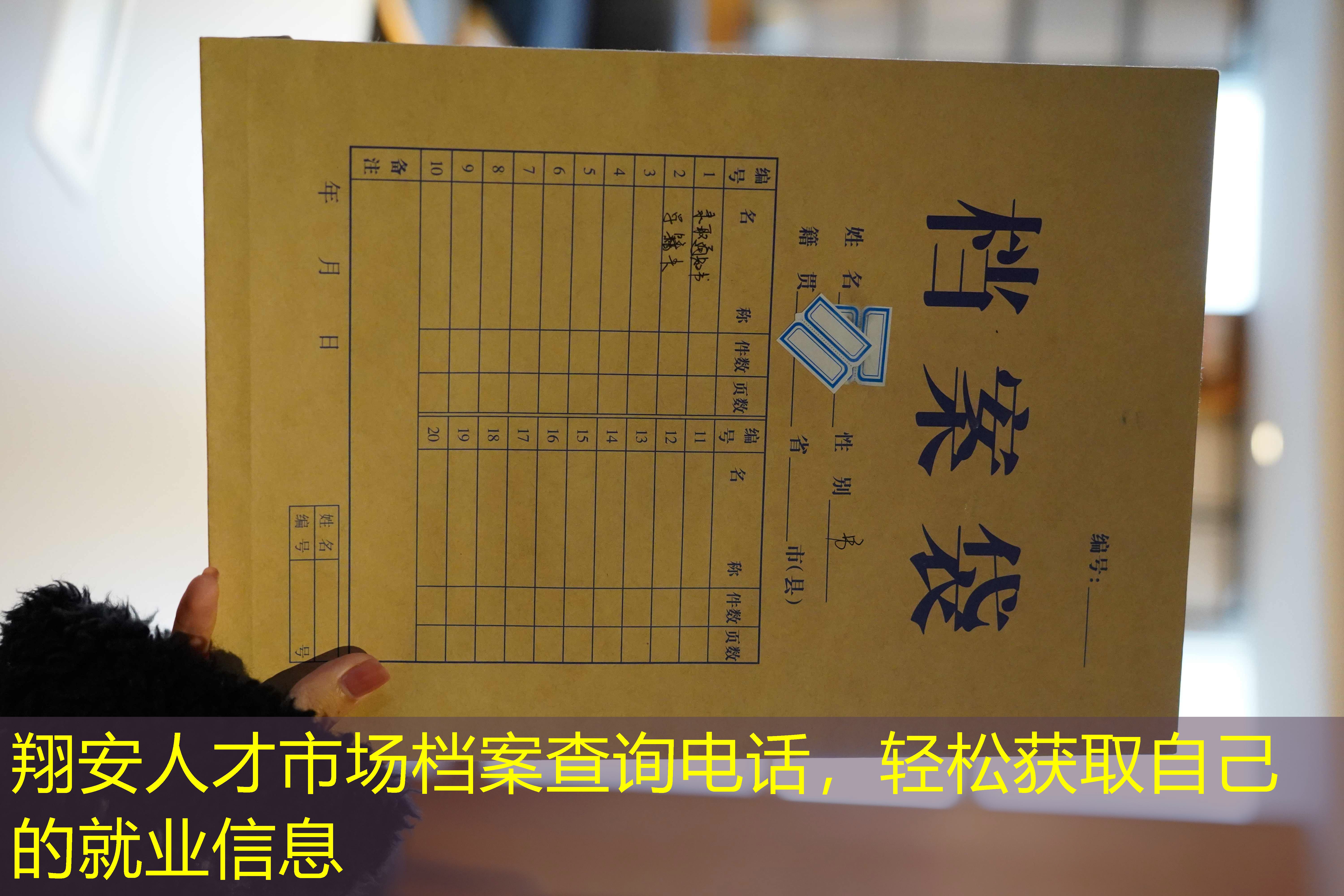 档案查询