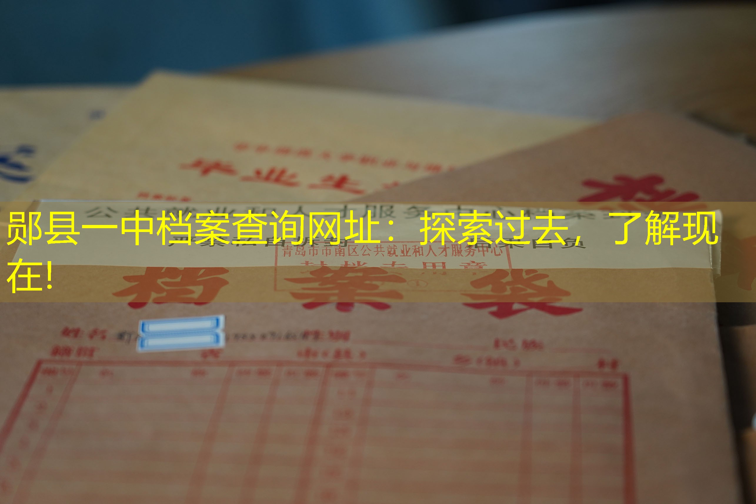 档案查询
