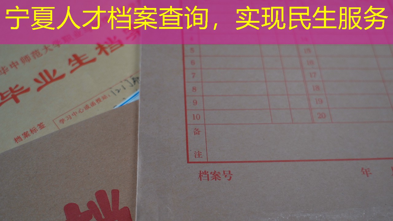 档案查询