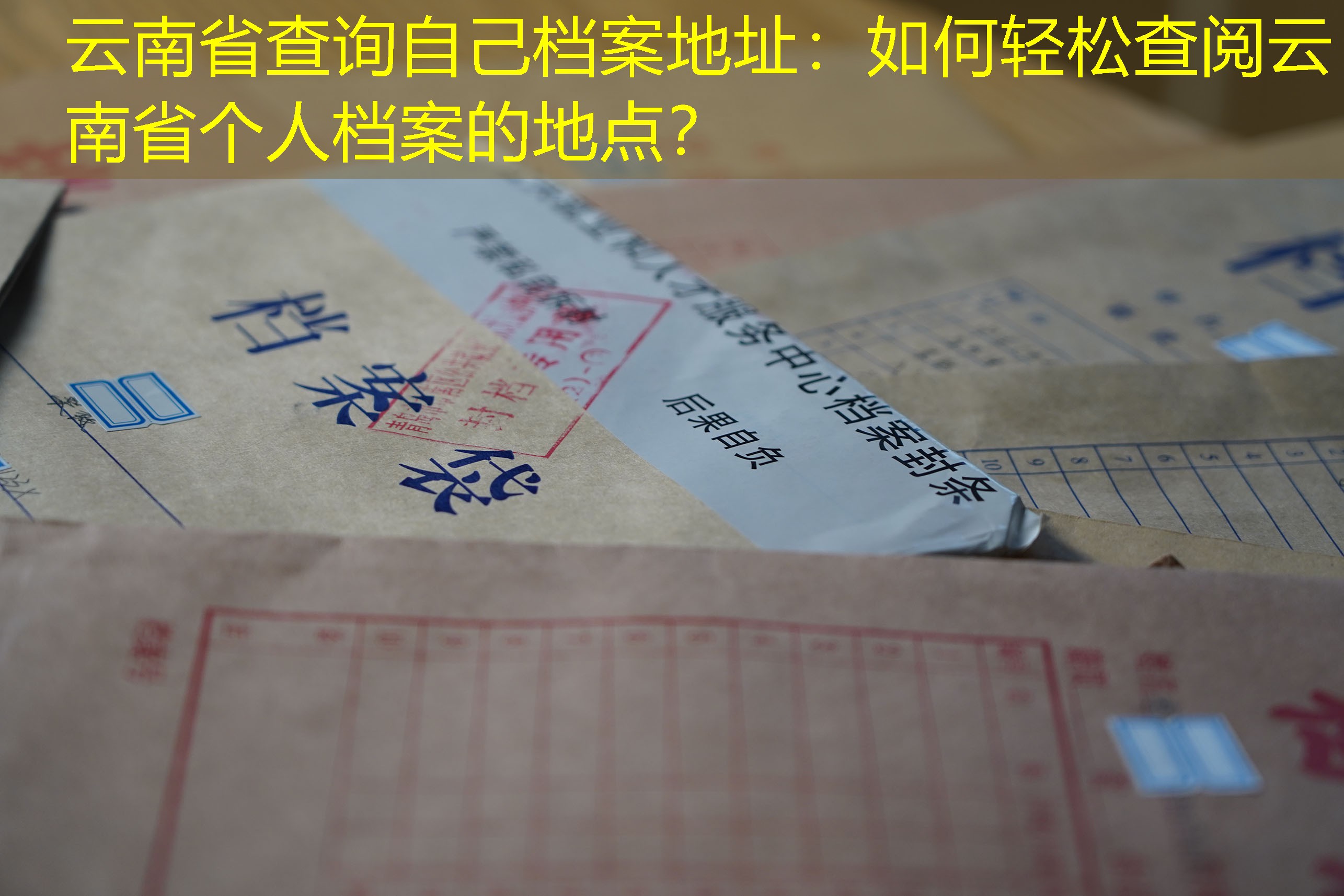 档案查询
