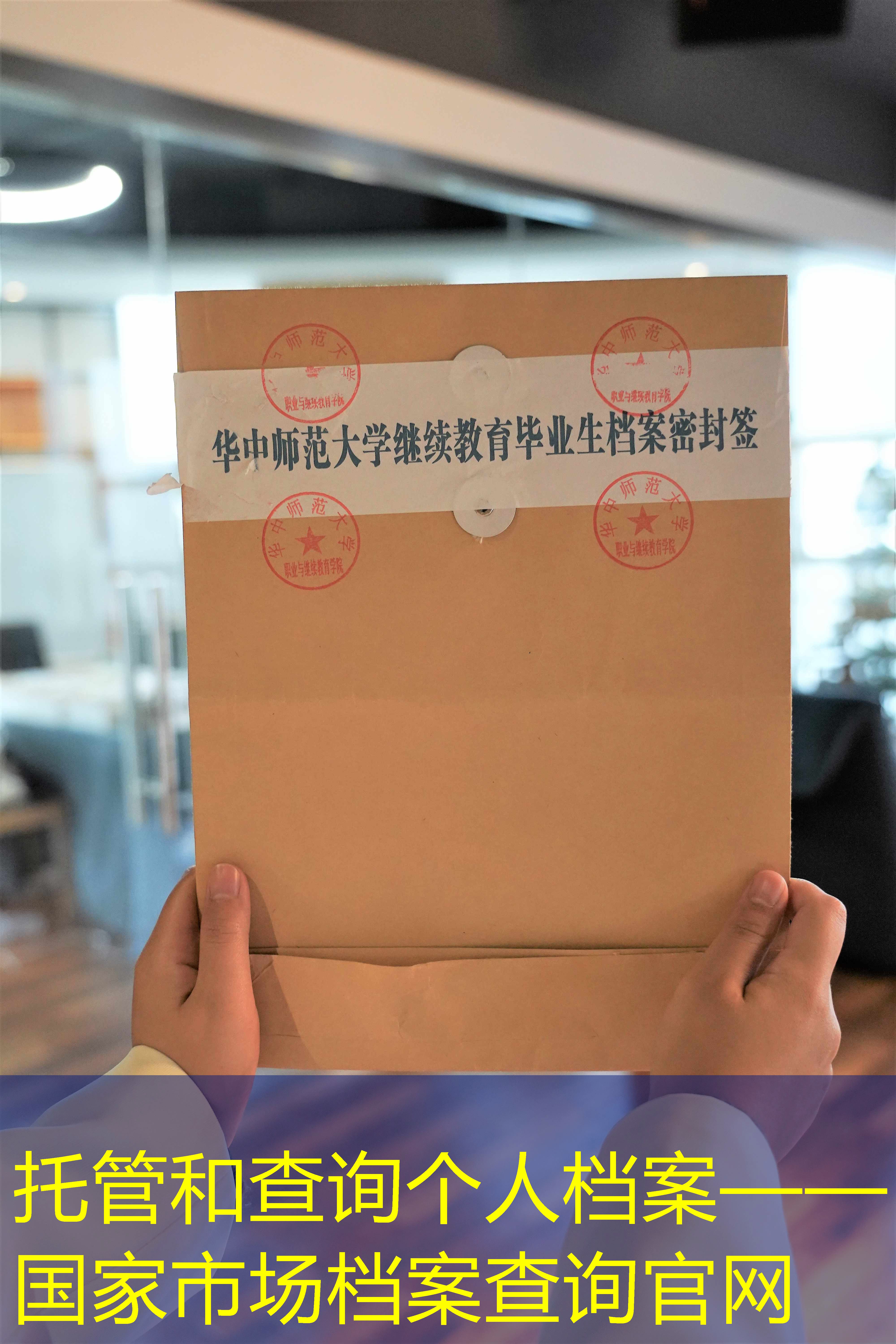 档案查询