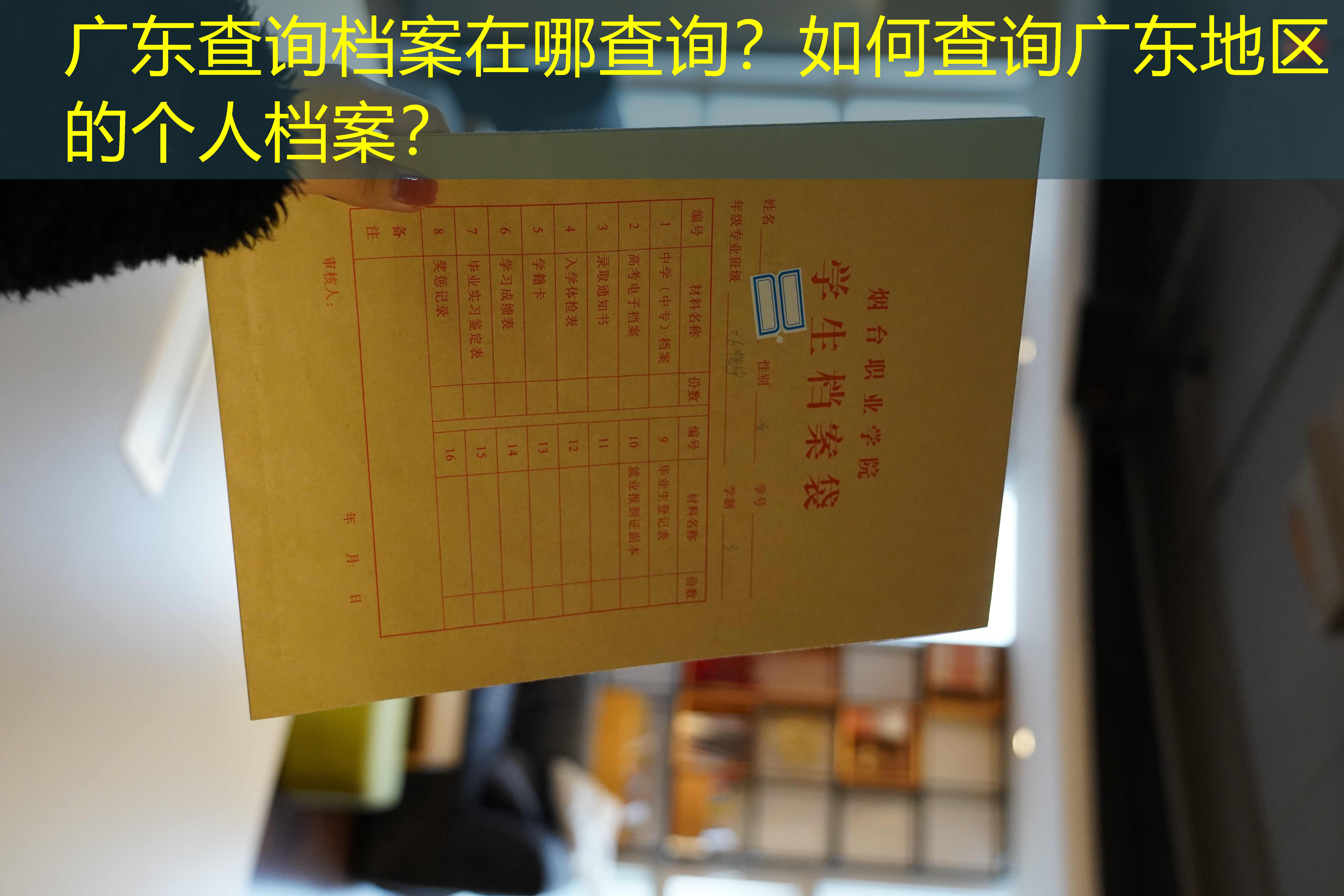 档案查询