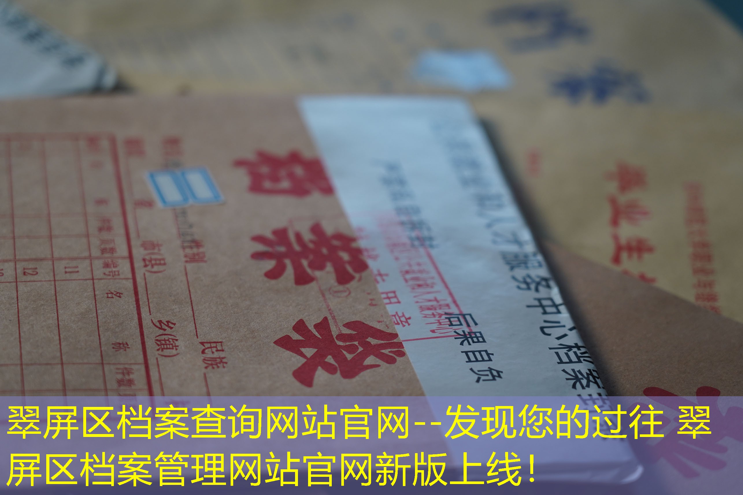 档案查询