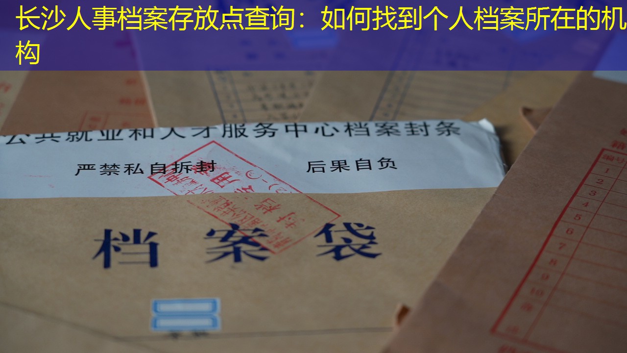 档案查询