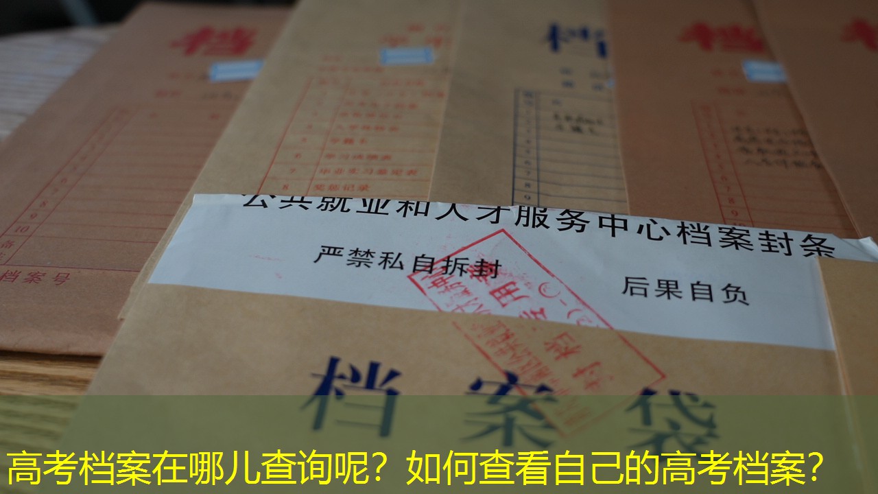 档案查询