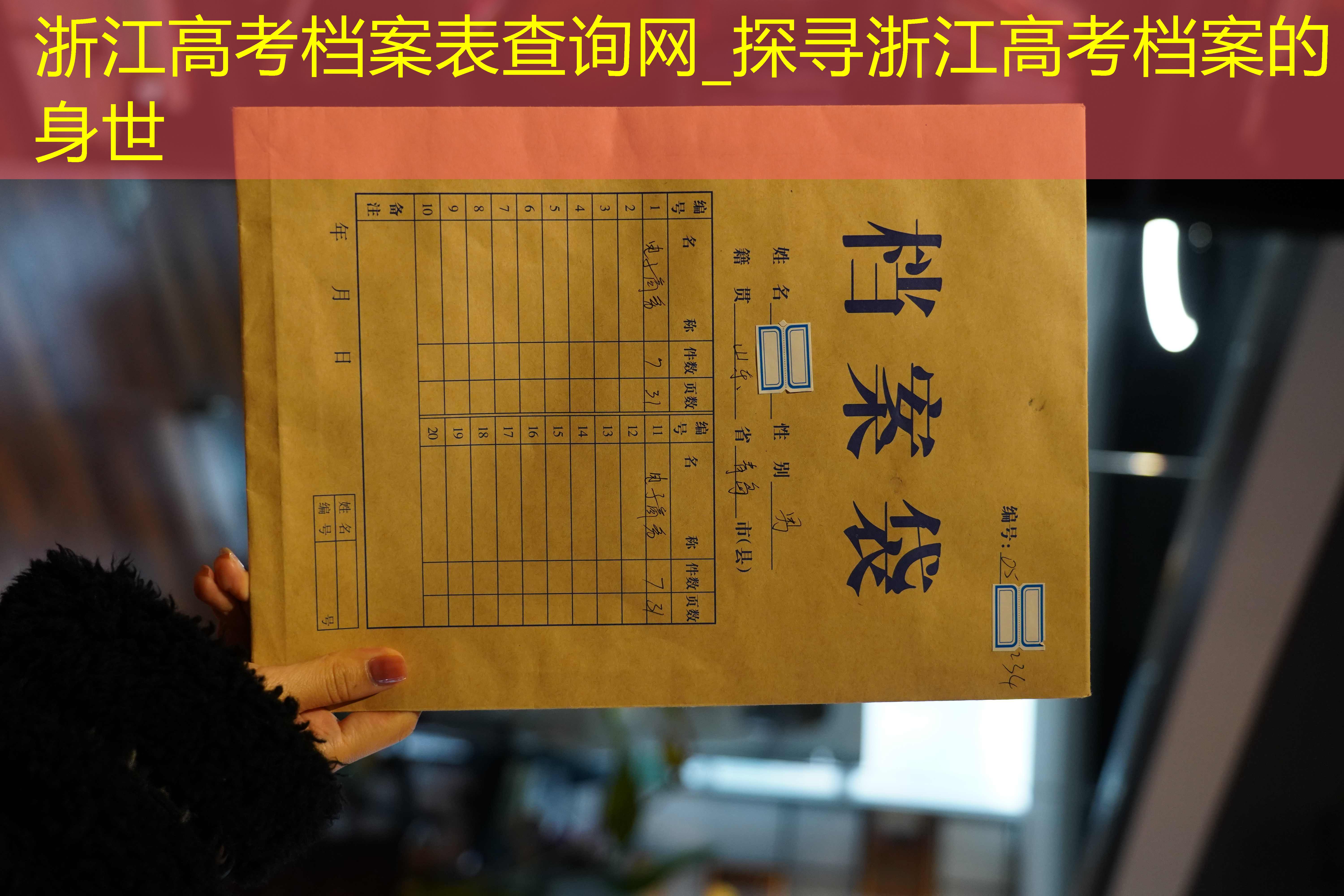 档案查询