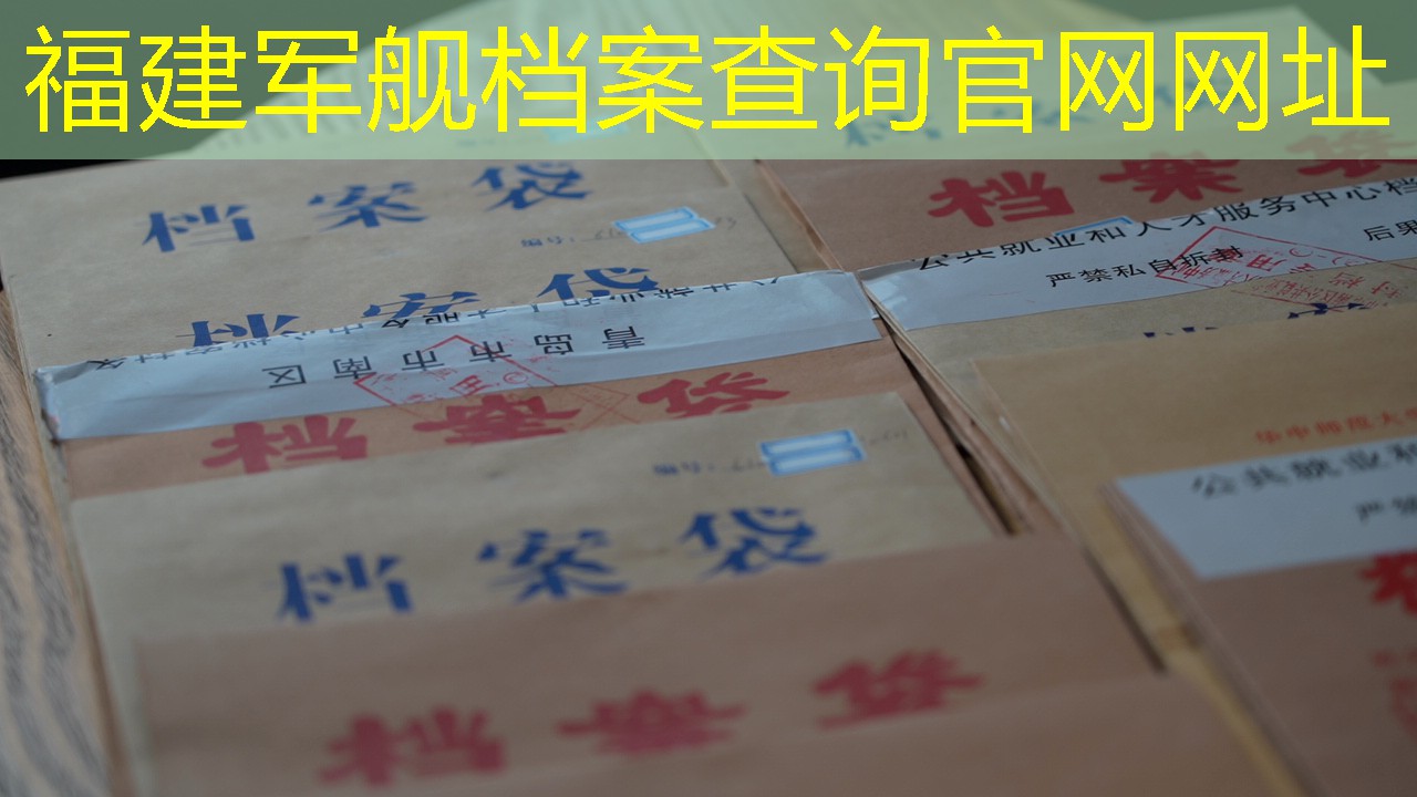 档案查询