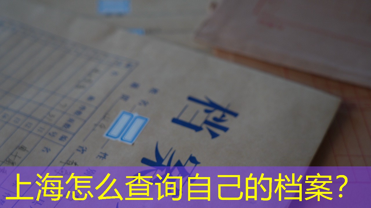 档案查询