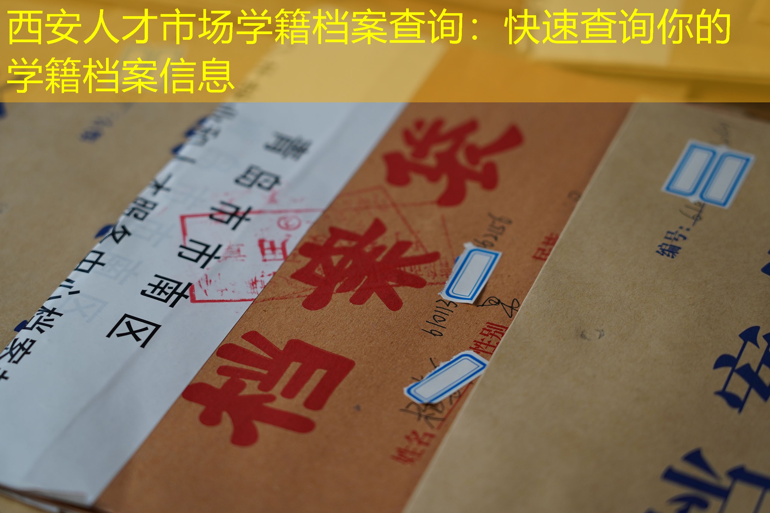 档案查询