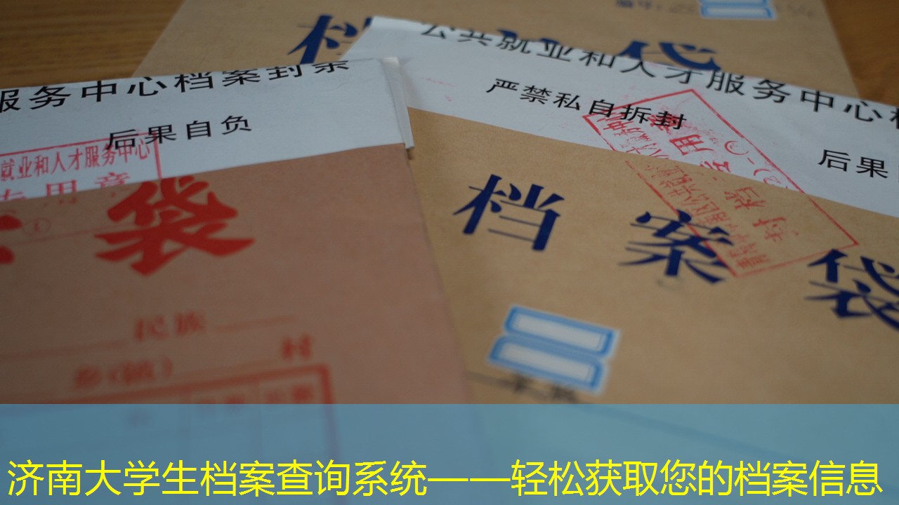 档案查询