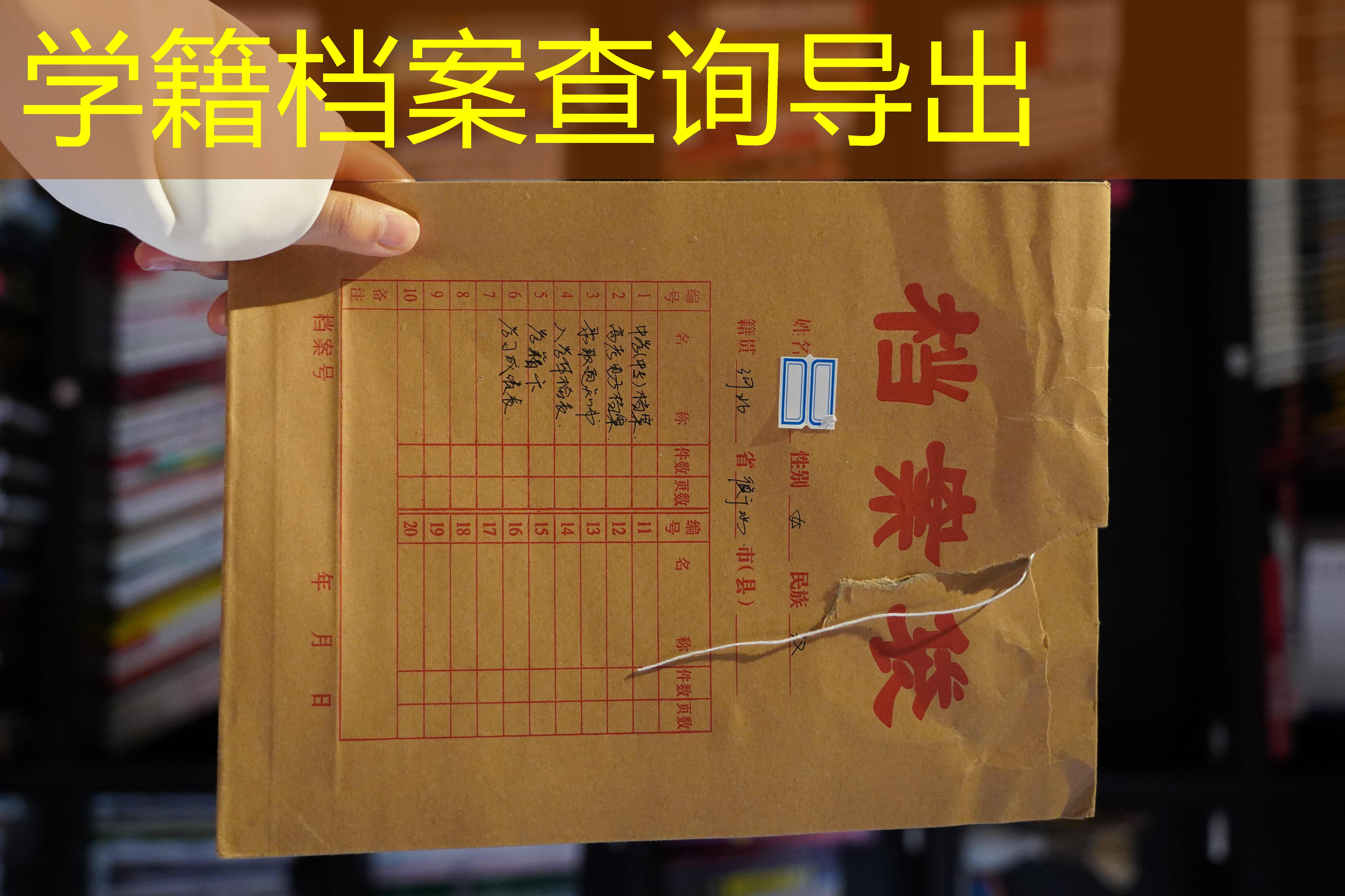 档案查询