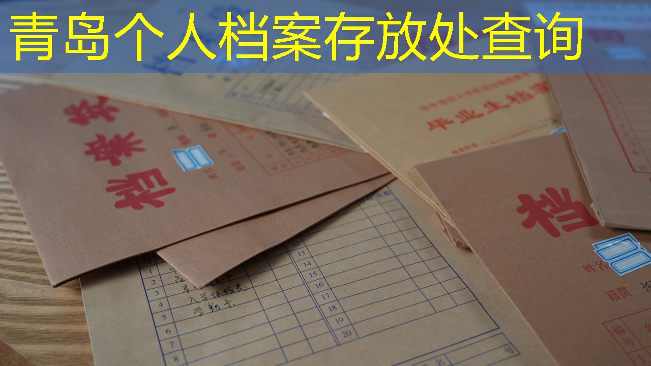 档案查询