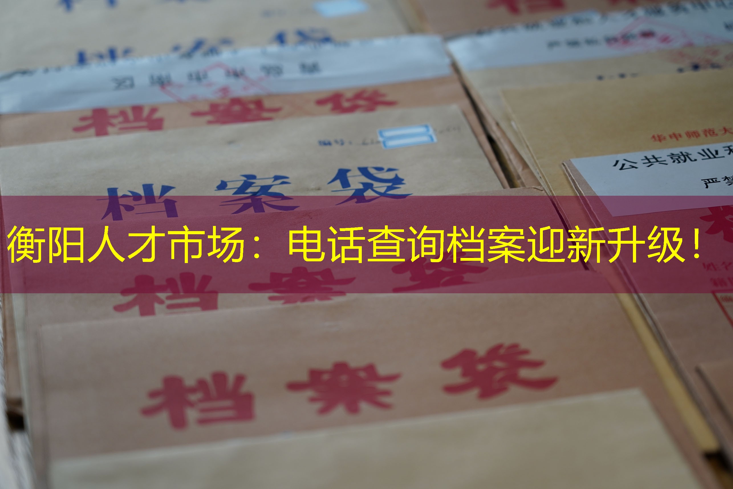档案查询