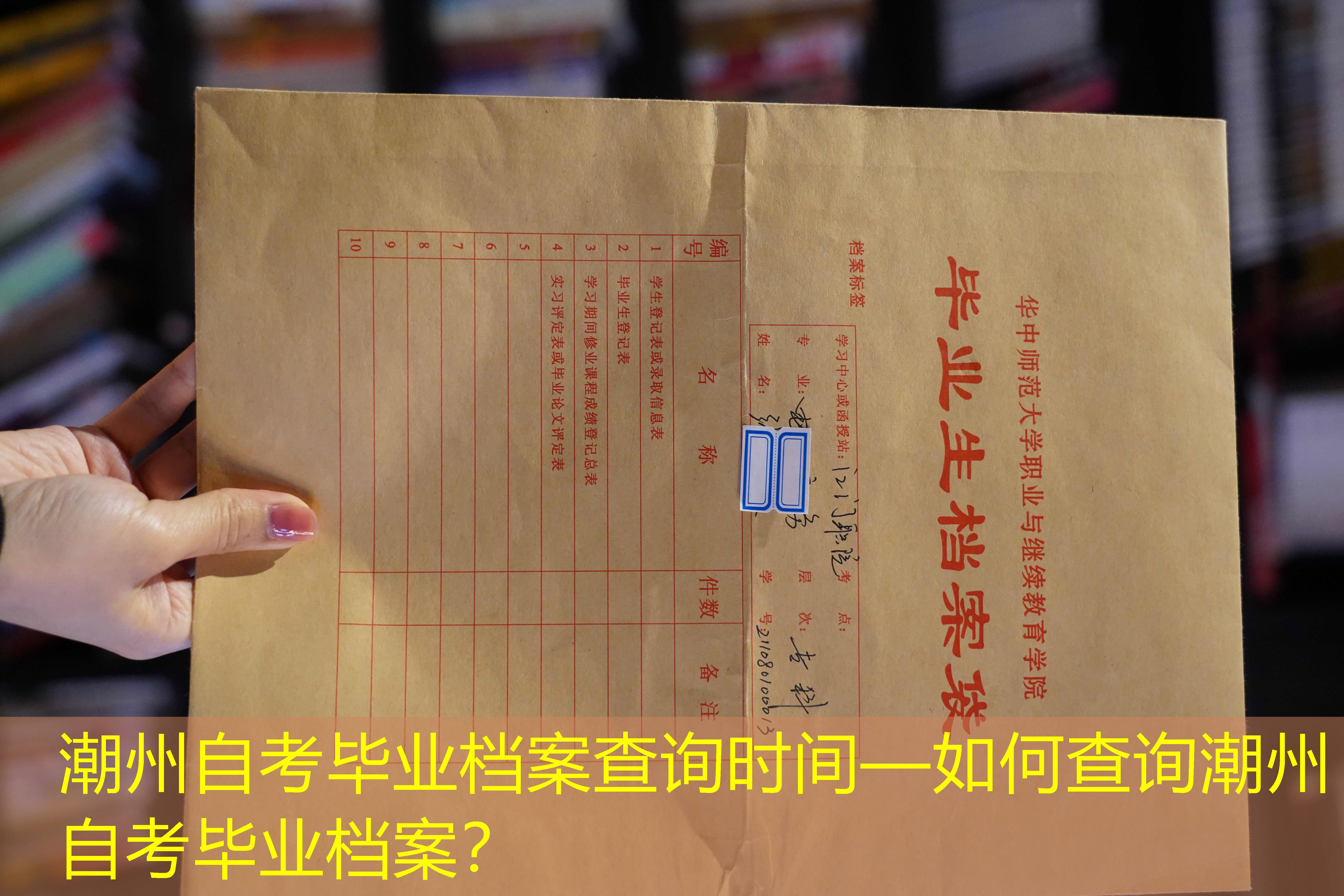 档案查询