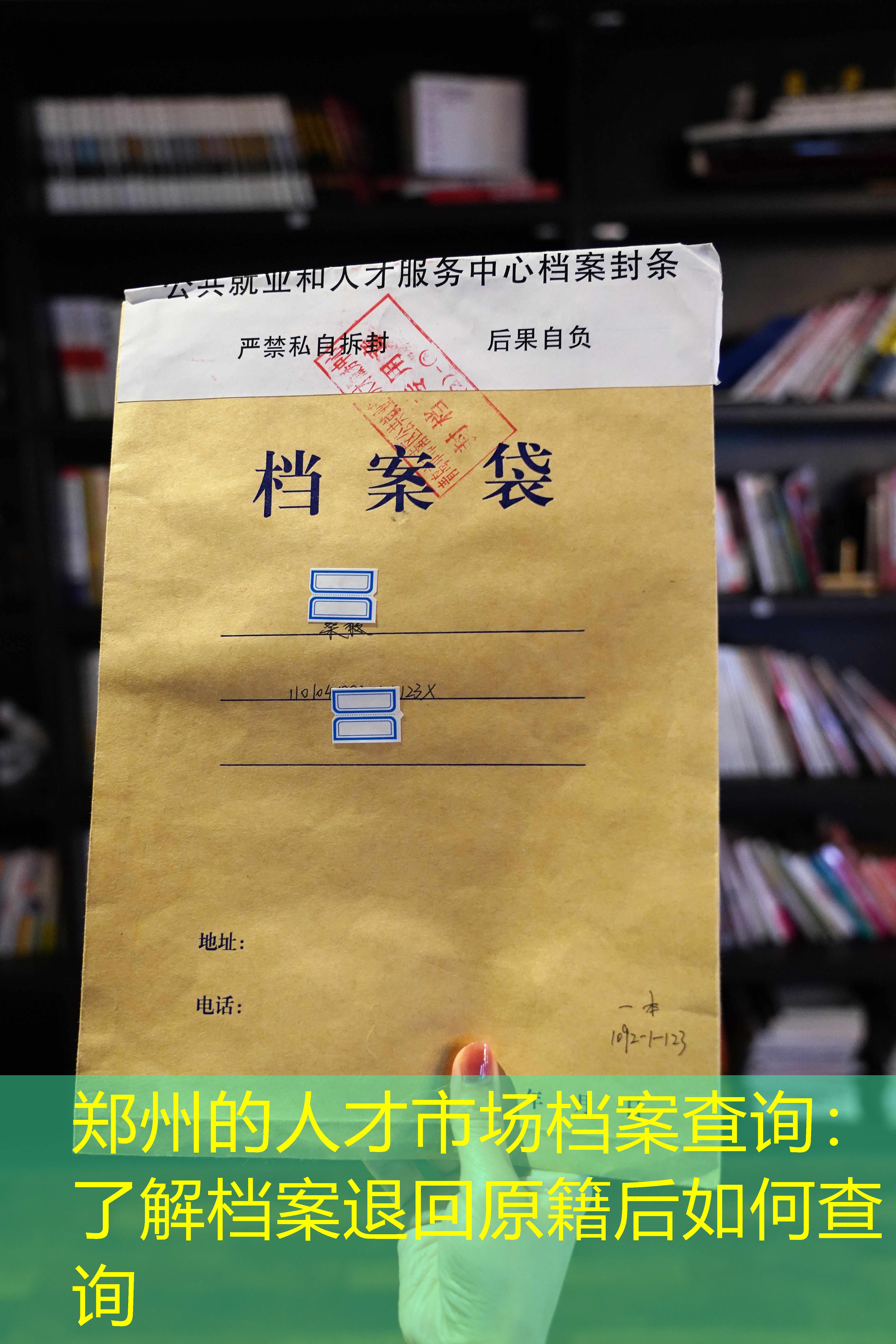 档案查询