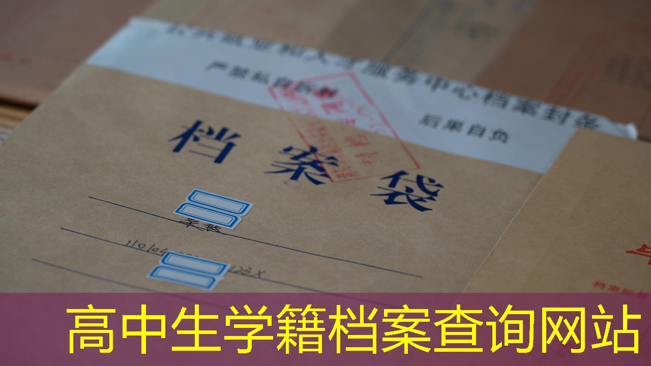 档案查询