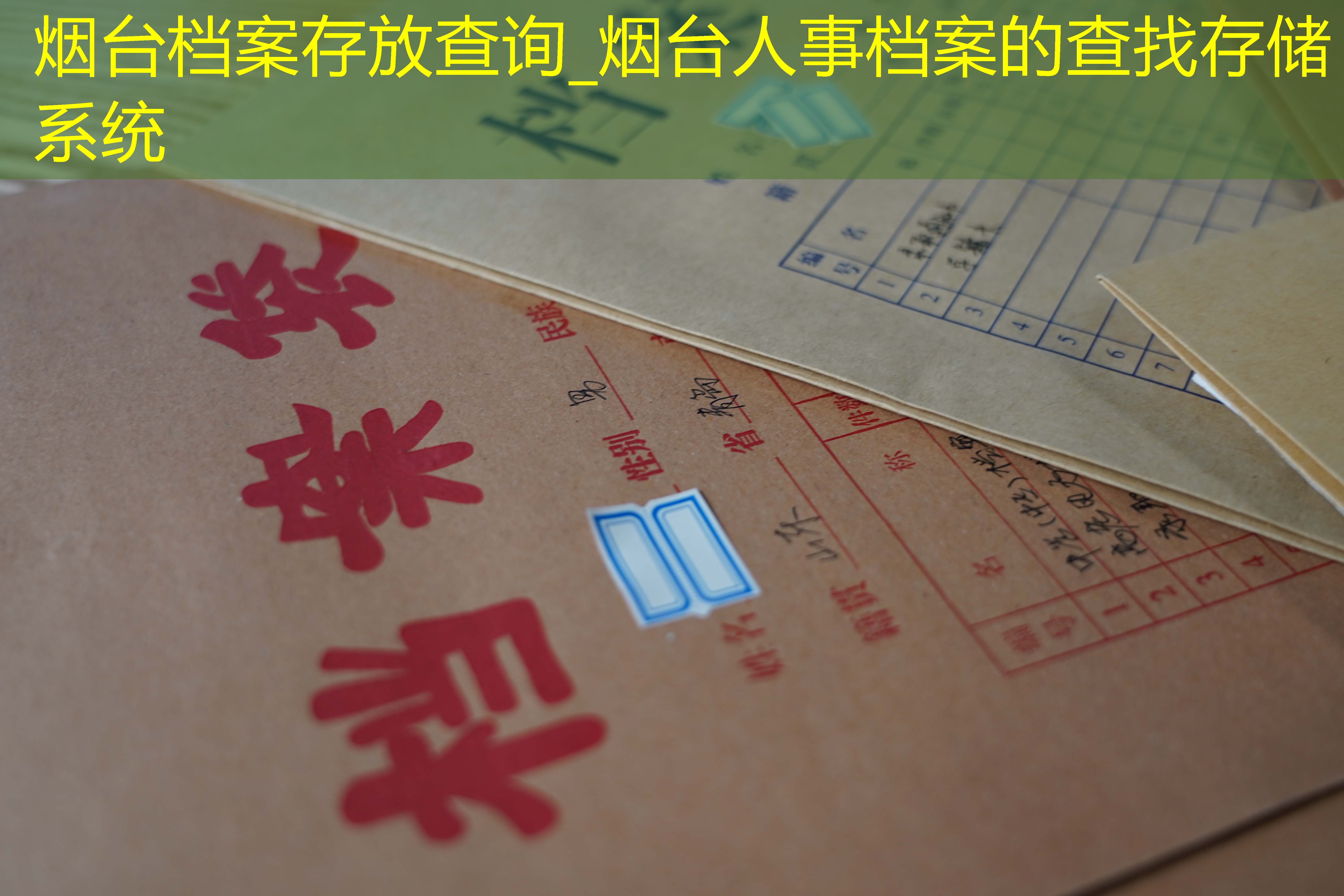 档案查询