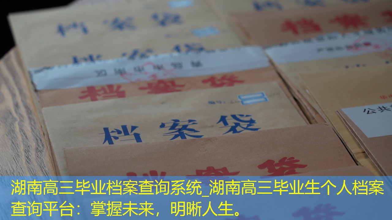档案查询