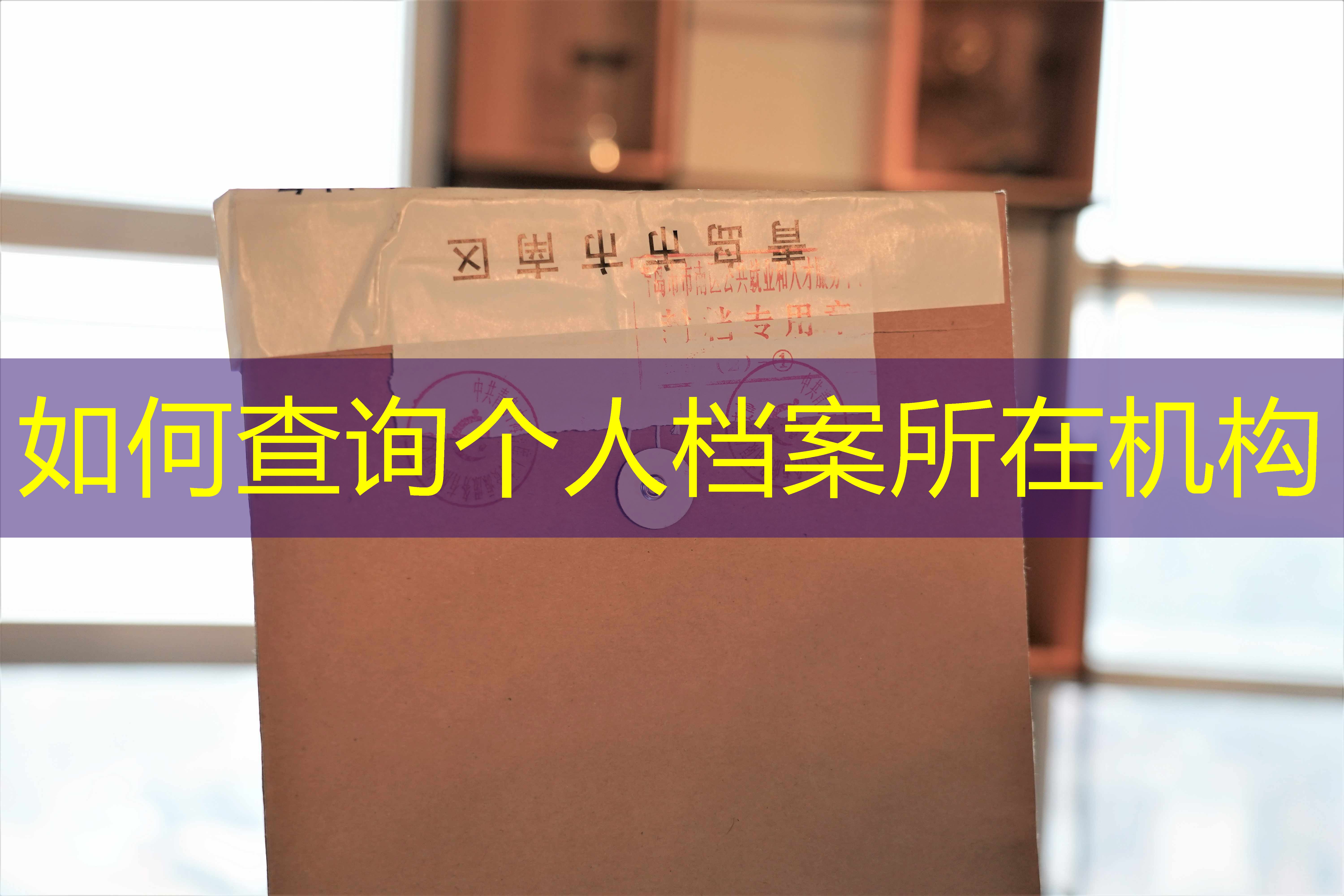 档案查询