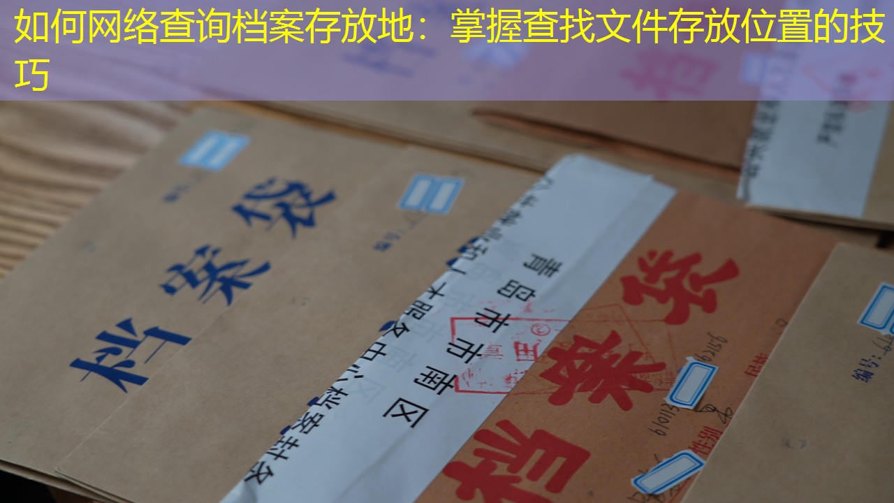 档案查询