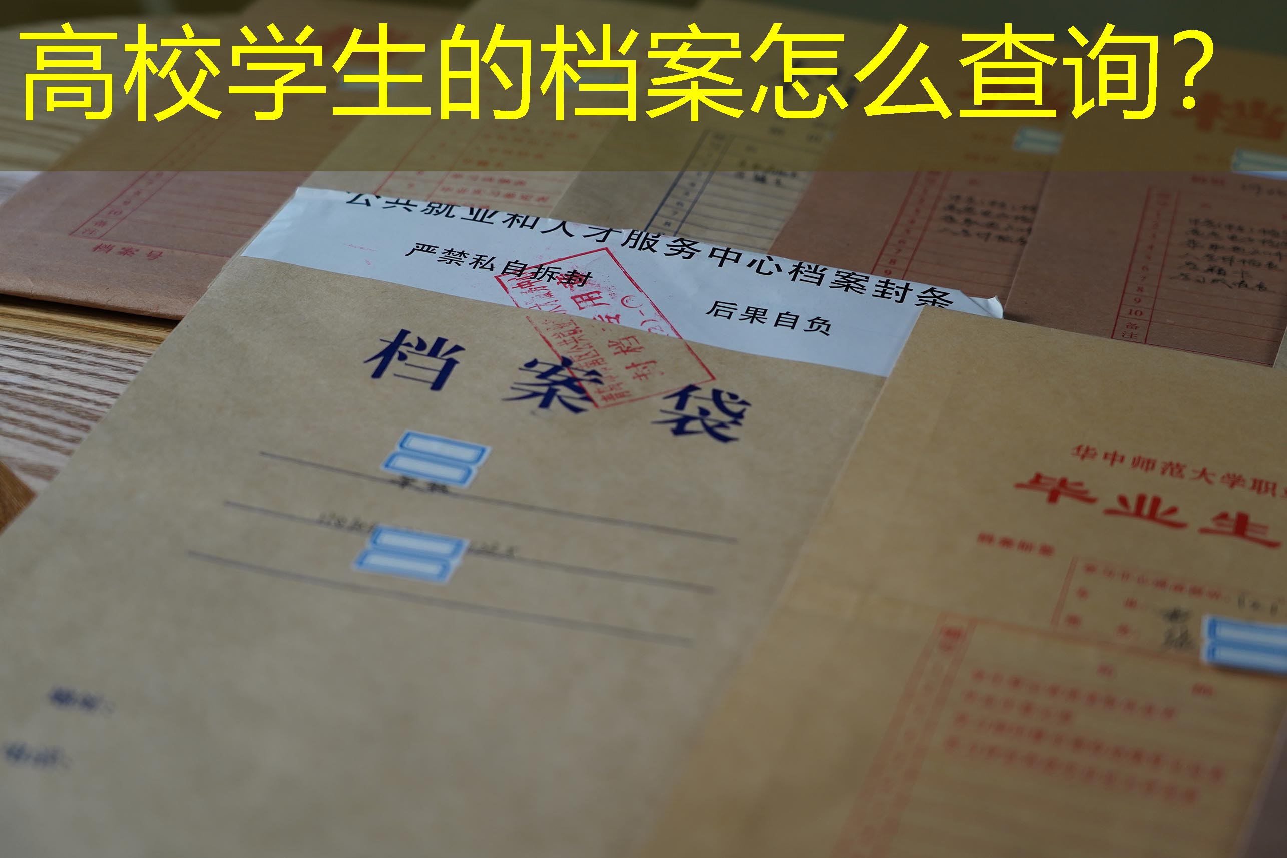 档案查询