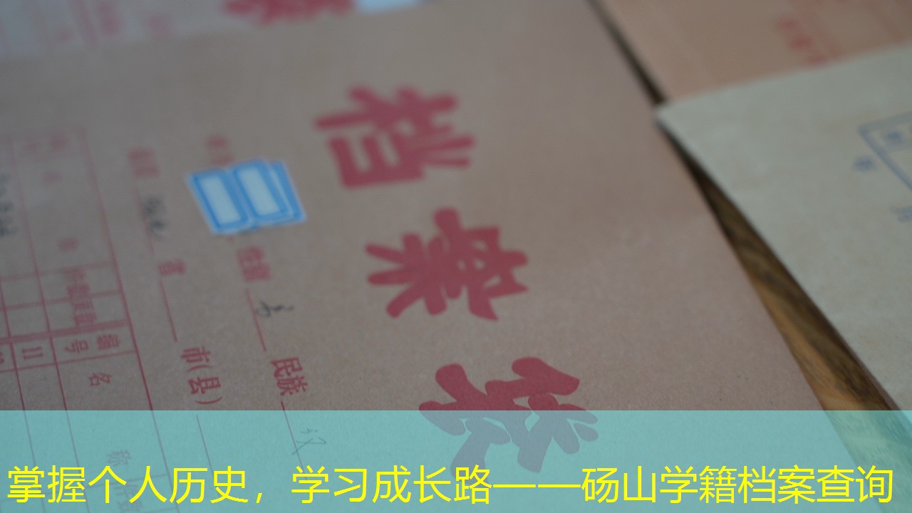 档案查询